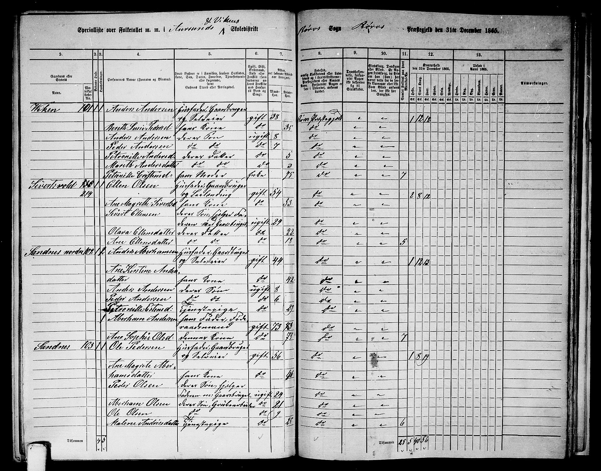 RA, 1865 census for Røros, 1865, p. 131