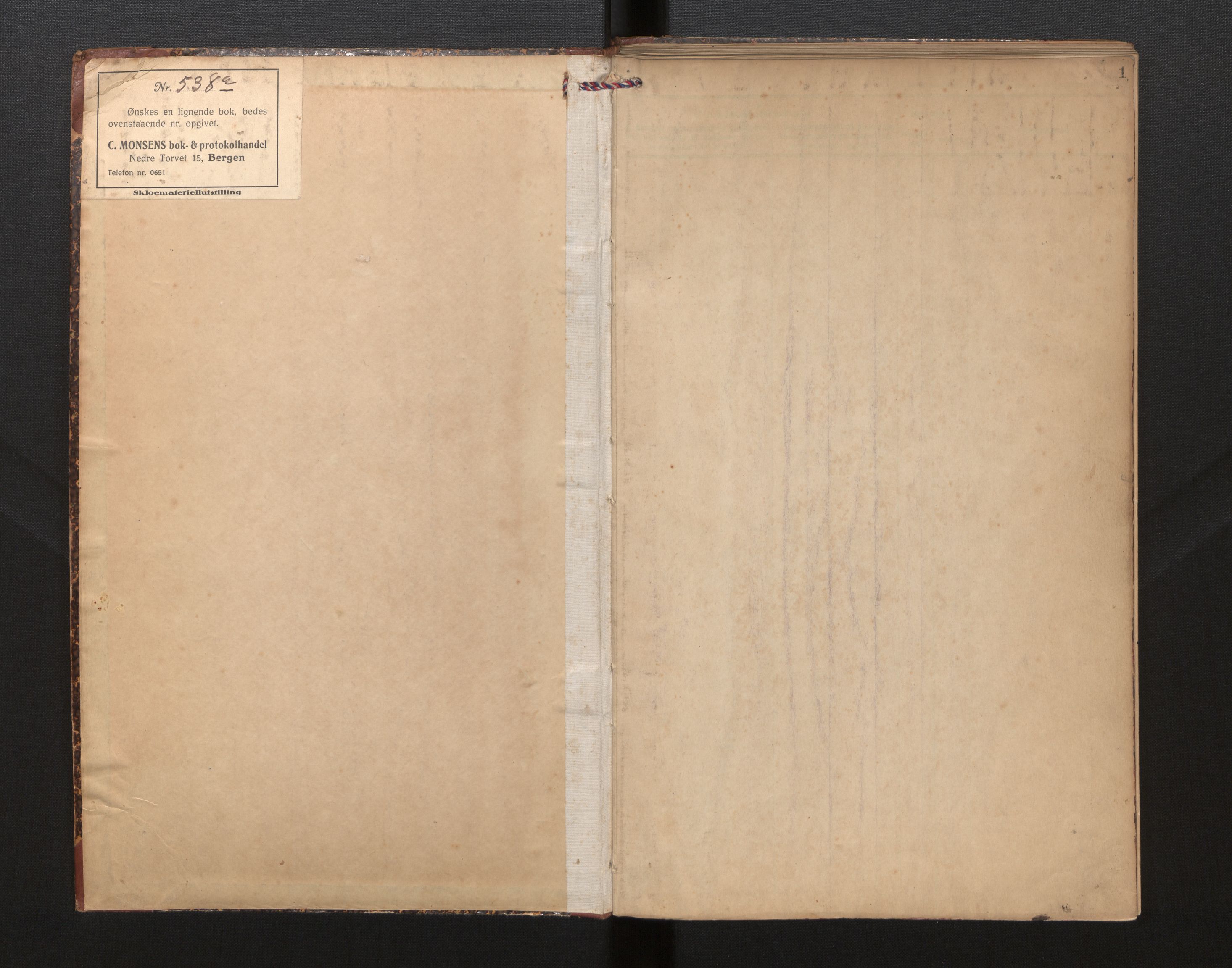 Lensmannen i Jølster, AV/SAB-A-28701/0006/L0005: Dødsfallprotokoll, 1924-1934, p. 1a