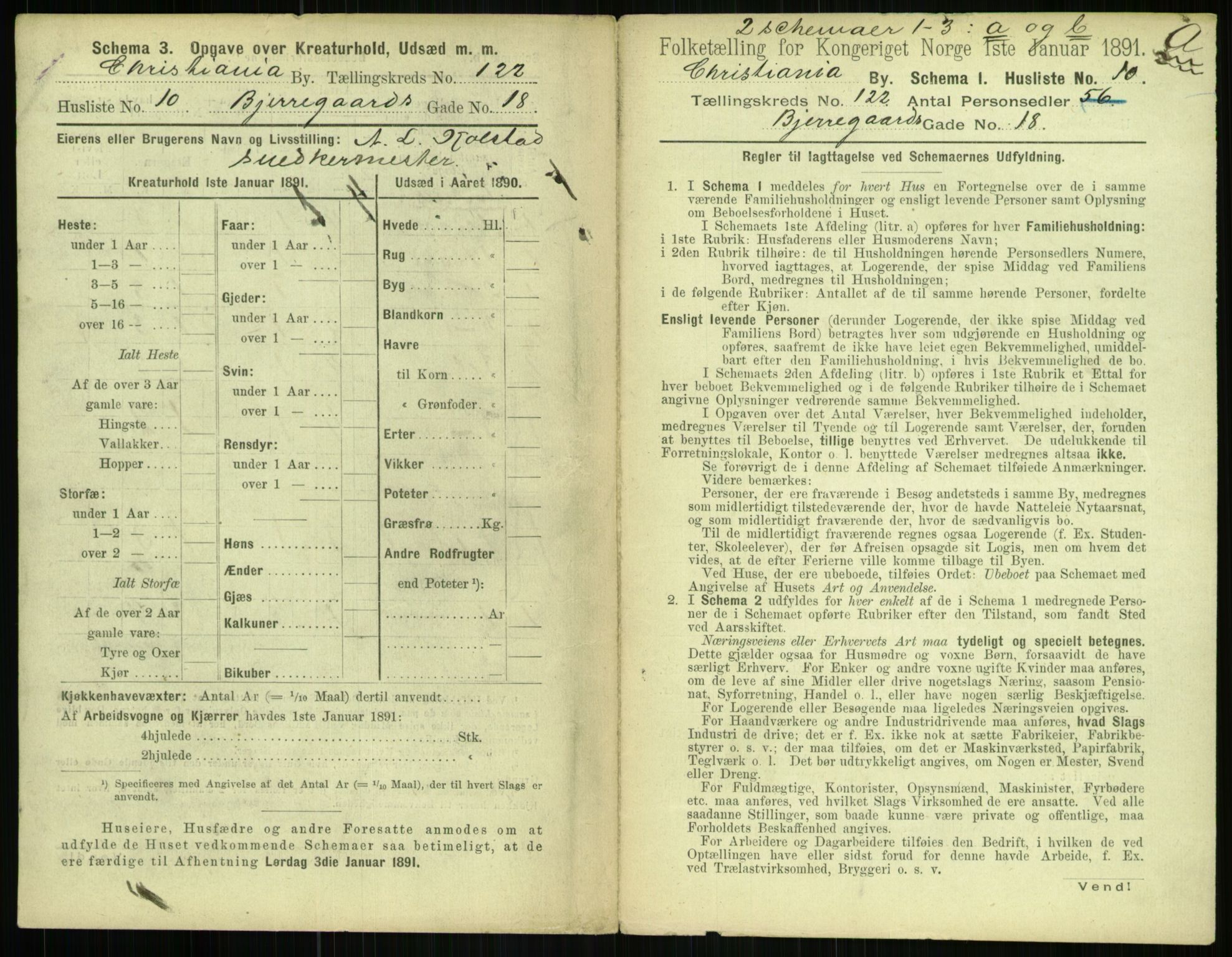 RA, 1891 census for 0301 Kristiania, 1891, p. 64613