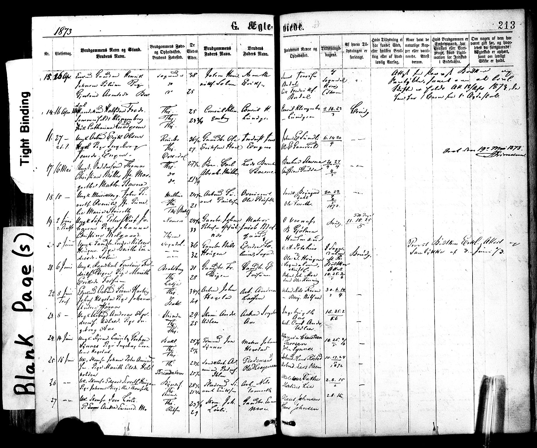 Ministerialprotokoller, klokkerbøker og fødselsregistre - Sør-Trøndelag, SAT/A-1456/602/L0118: Parish register (official) no. 602A16, 1873-1879, p. 213