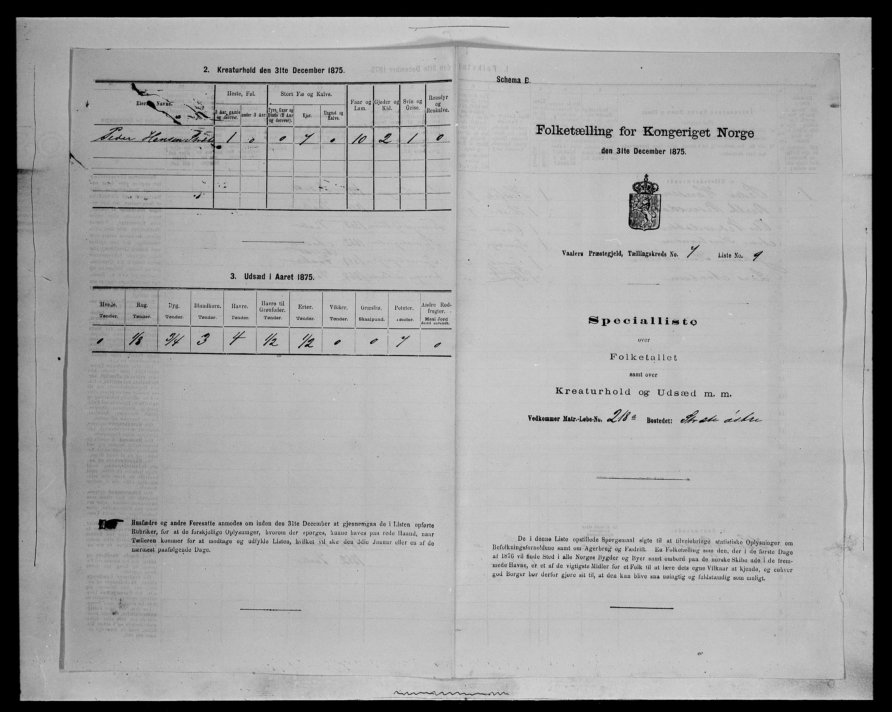 SAH, 1875 census for 0426P Våler parish (Hedmark), 1875, p. 896