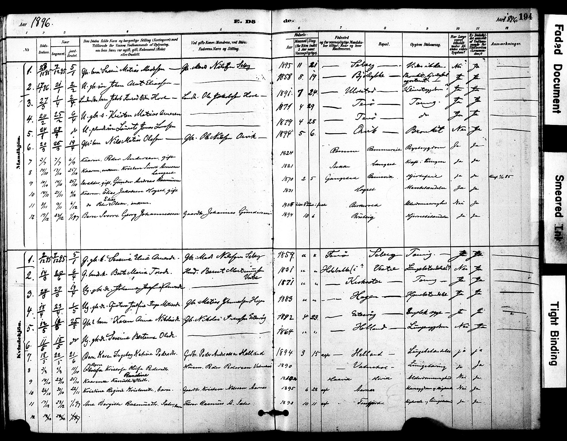 Ministerialprotokoller, klokkerbøker og fødselsregistre - Møre og Romsdal, SAT/A-1454/525/L0374: Parish register (official) no. 525A04, 1880-1899, p. 194