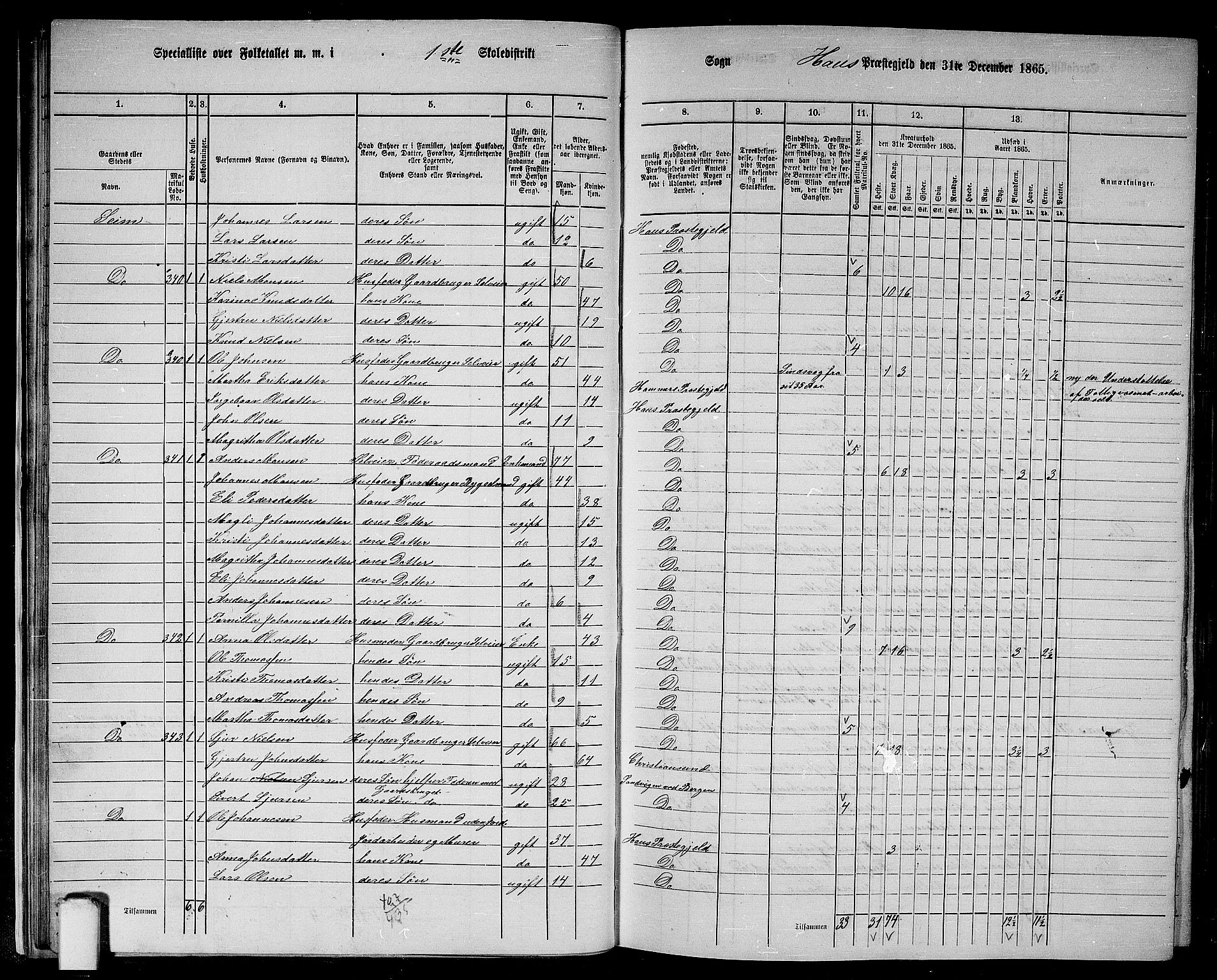 RA, 1865 census for Haus, 1865, p. 32