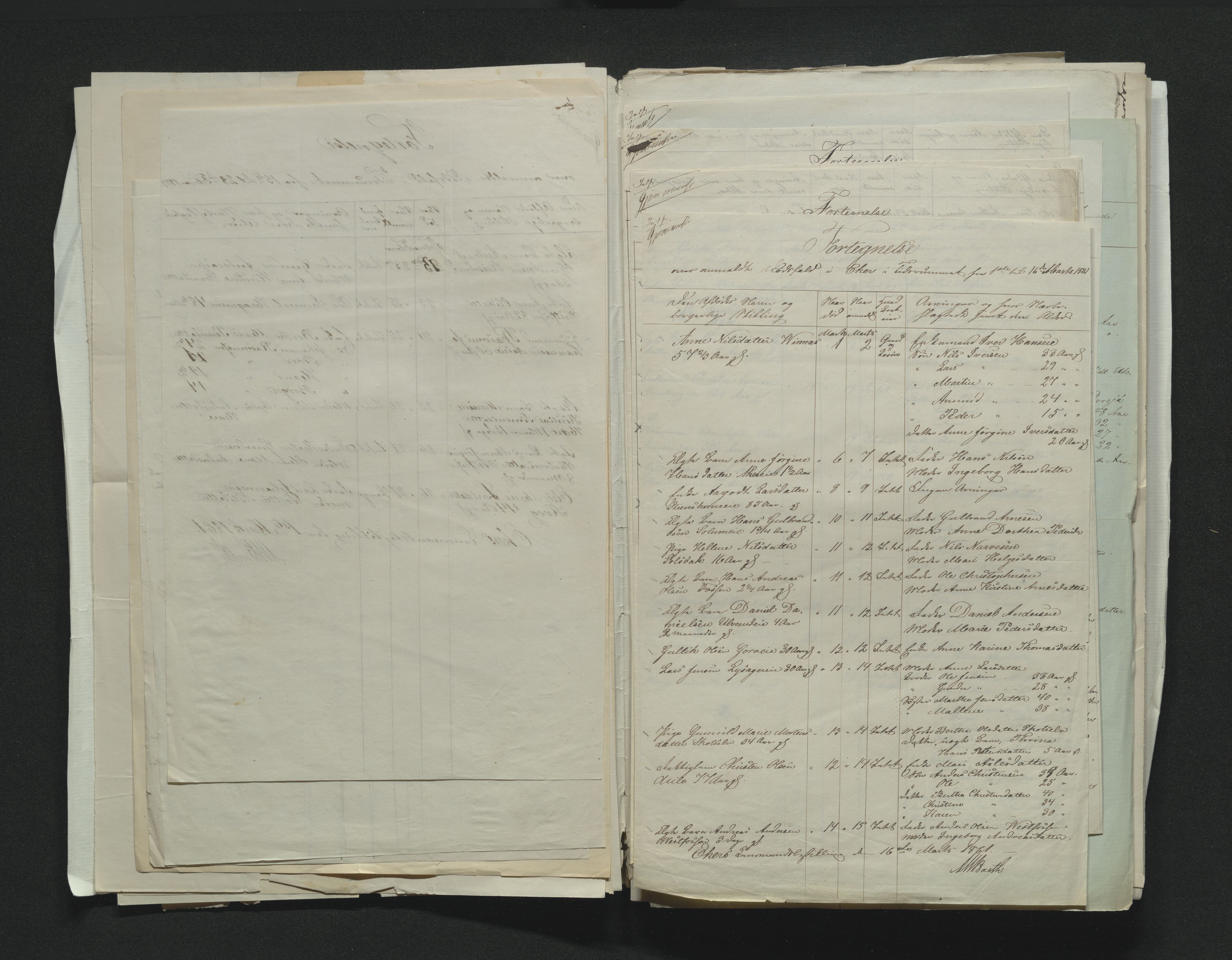 Eiker, Modum og Sigdal sorenskriveri, AV/SAKO-A-123/H/Ha/Hab/L0010: Dødsfallsmeldinger, 1858-1861, p. 411