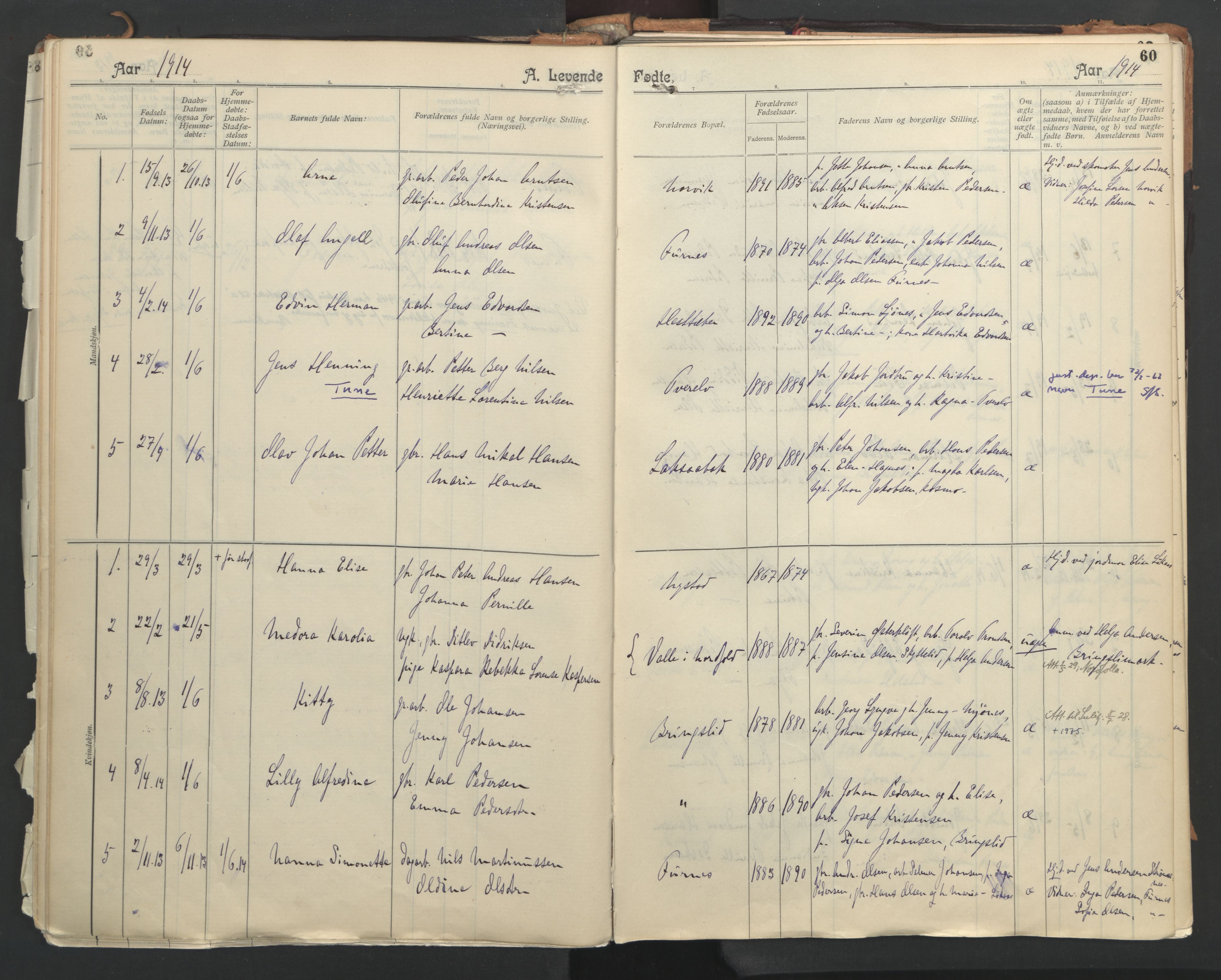 Ministerialprotokoller, klokkerbøker og fødselsregistre - Nordland, AV/SAT-A-1459/851/L0724: Parish register (official) no. 851A01, 1901-1922, p. 60