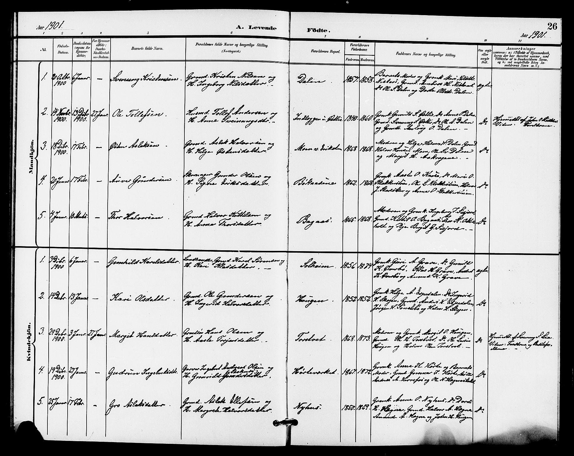 Bø kirkebøker, SAKO/A-257/G/Ga/L0006: Parish register (copy) no. 6, 1898-1909, p. 26