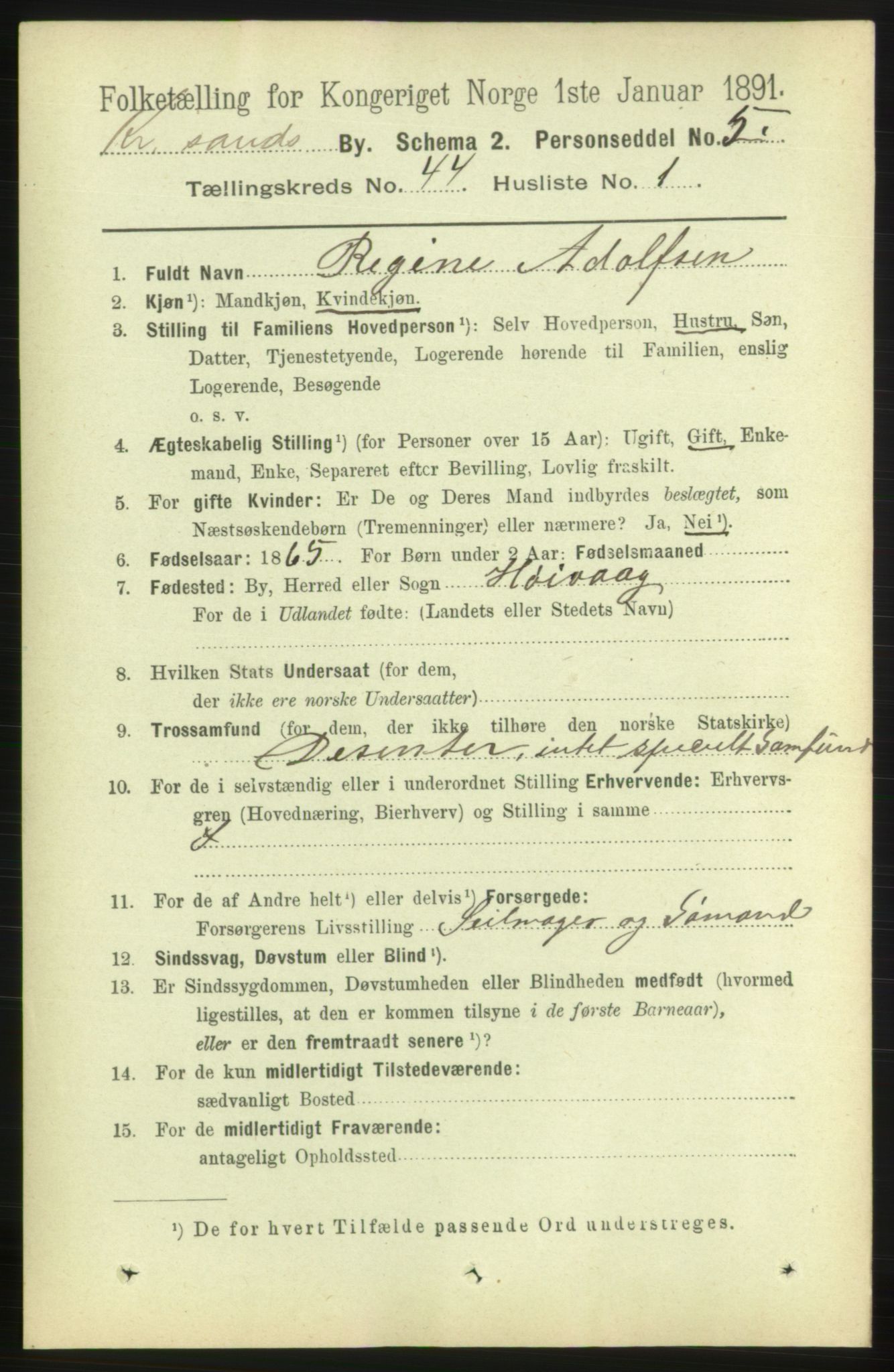 RA, 1891 census for 1001 Kristiansand, 1891, p. 13317