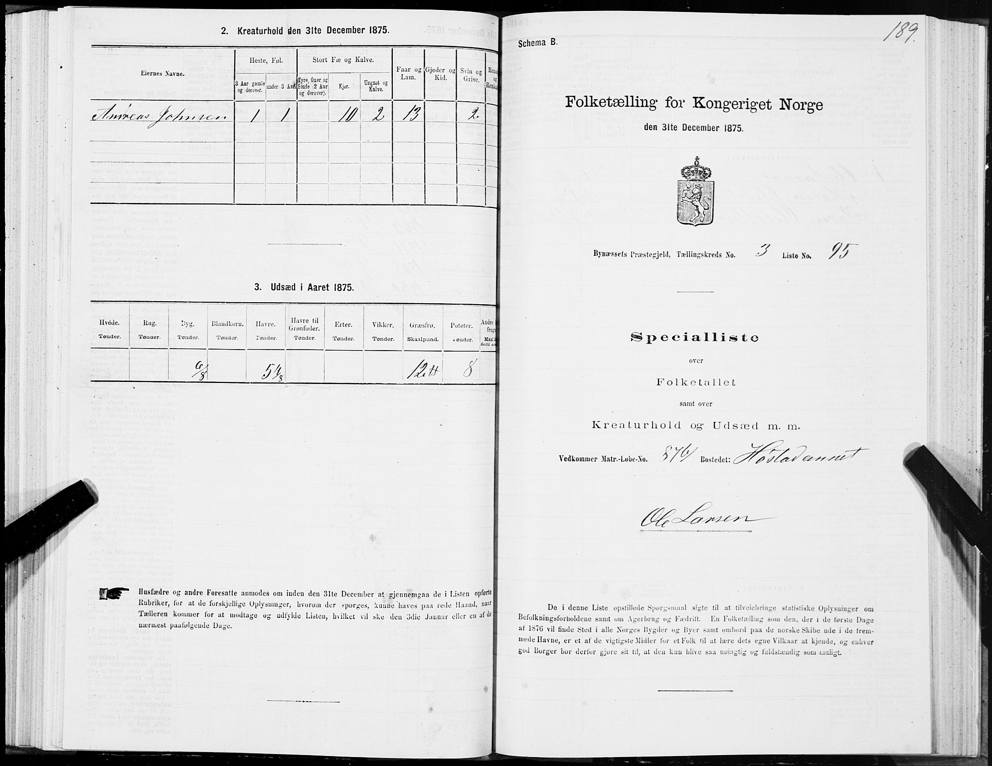 SAT, 1875 census for 1655P Byneset, 1875, p. 2189