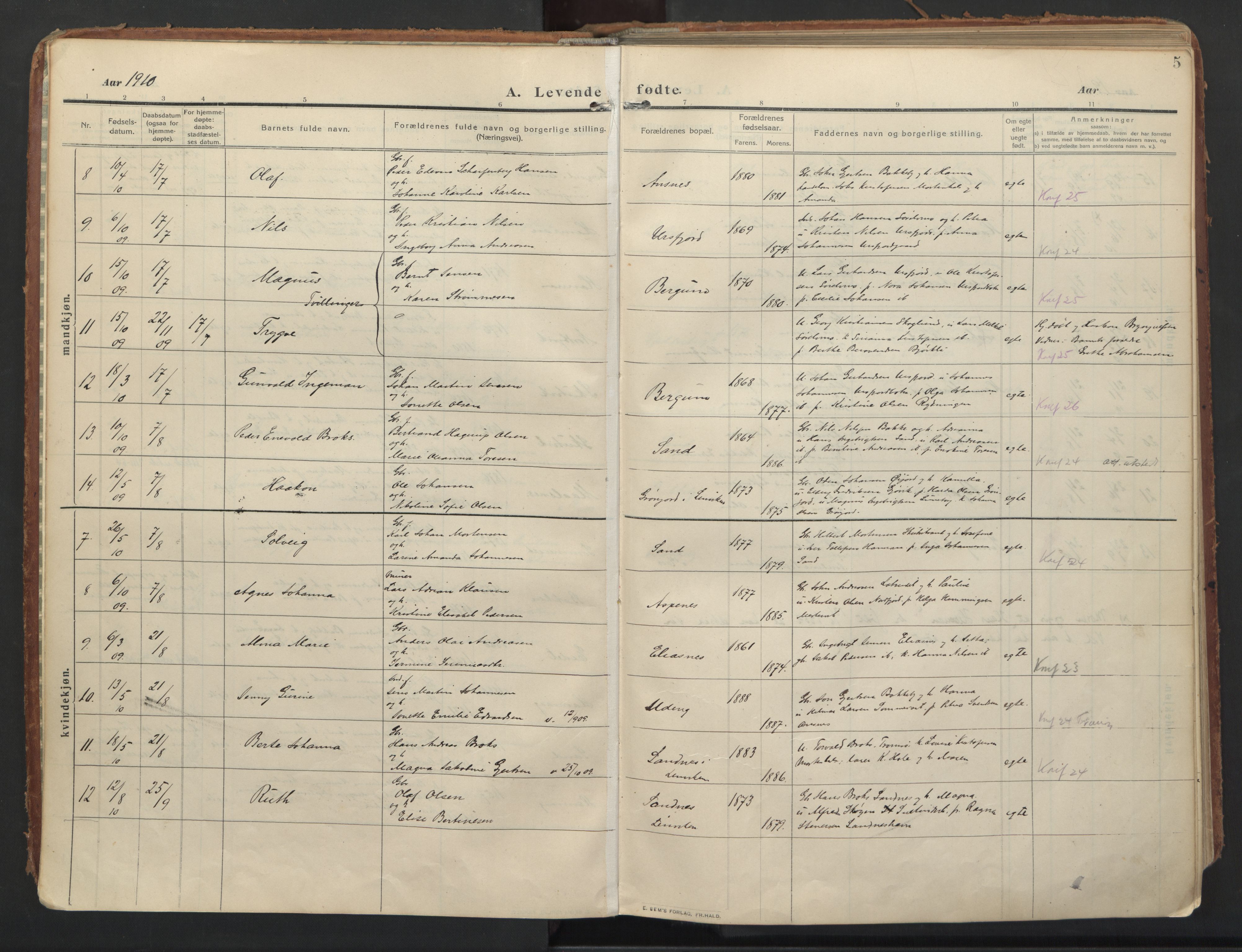 Balsfjord sokneprestembete, AV/SATØ-S-1303/G/Gaa/L0008kirke: Parish register (official) no. 8, 1910-1927, p. 5