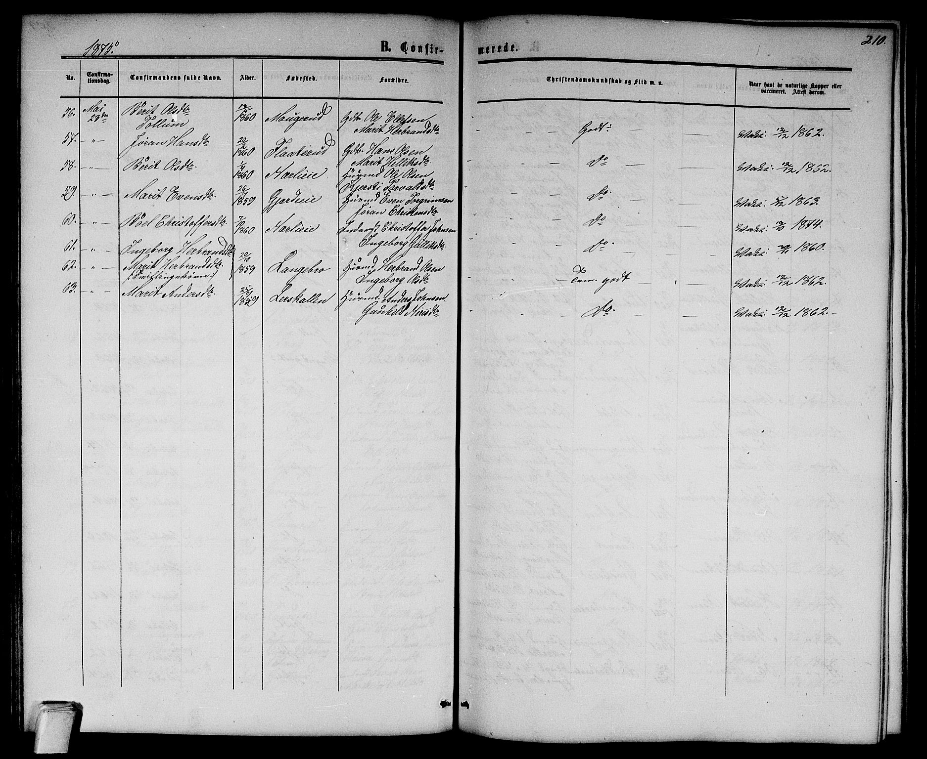 Flesberg kirkebøker, AV/SAKO-A-18/G/Ga/L0003: Parish register (copy) no. I 3, 1861-1889, p. 210