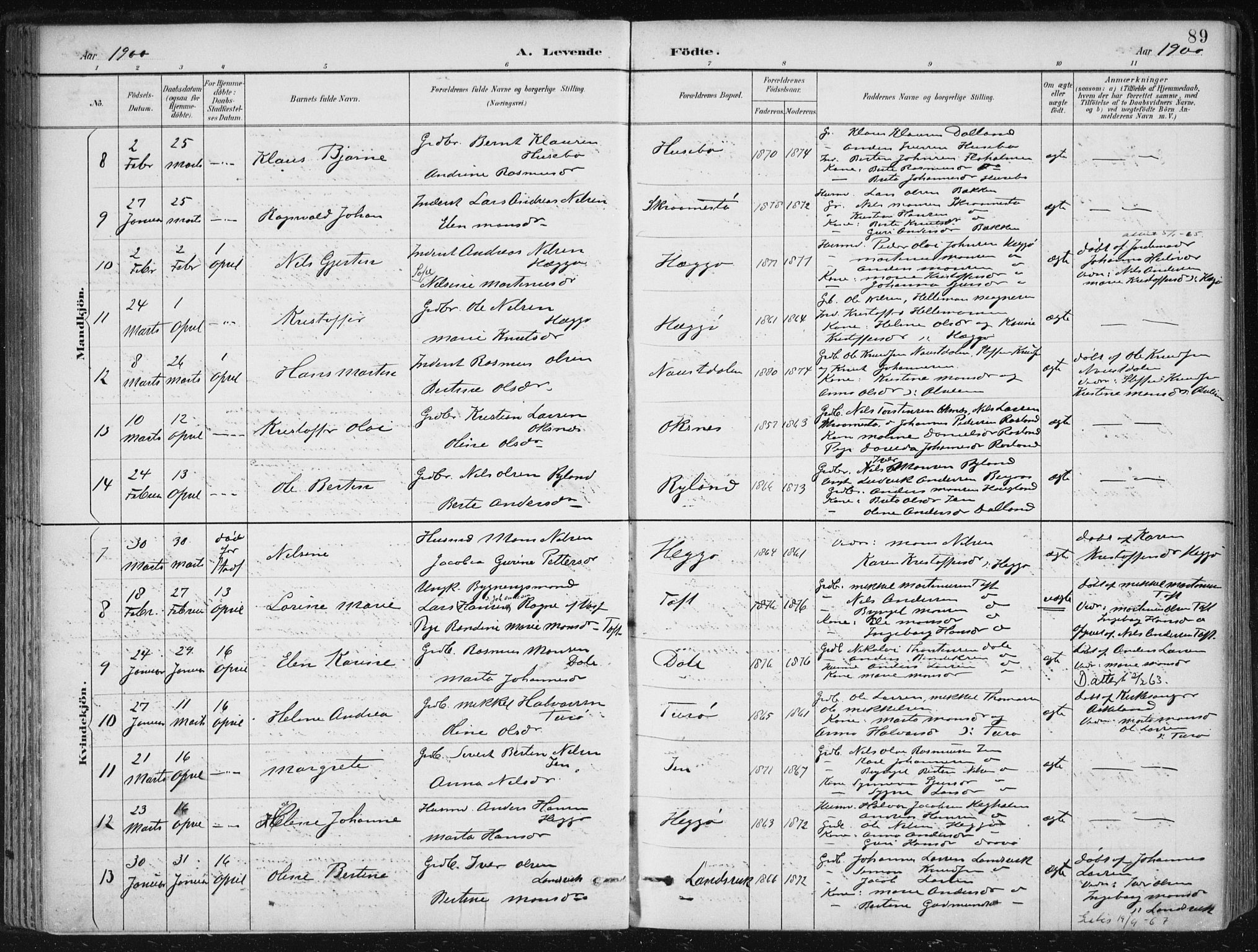 Herdla Sokneprestembete, SAB/A-75701/H/Haa: Parish register (official) no. A 4, 1891-1905, p. 89