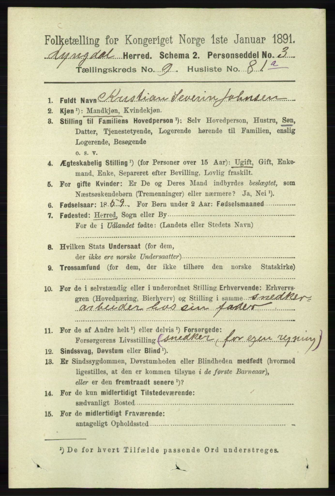 RA, 1891 census for 1032 Lyngdal, 1891, p. 4148