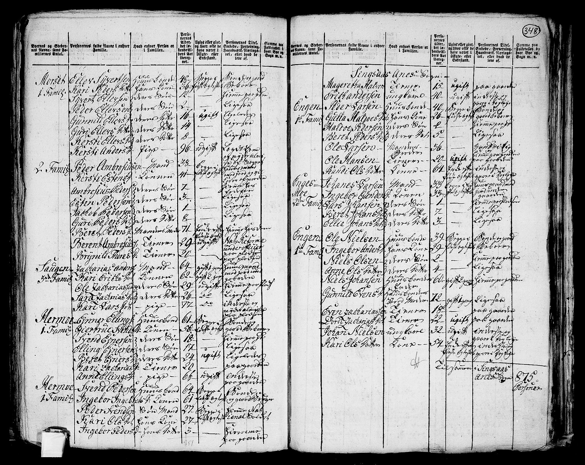 RA, 1801 census for 1645P Haltdalen, 1801, p. 347b-348a