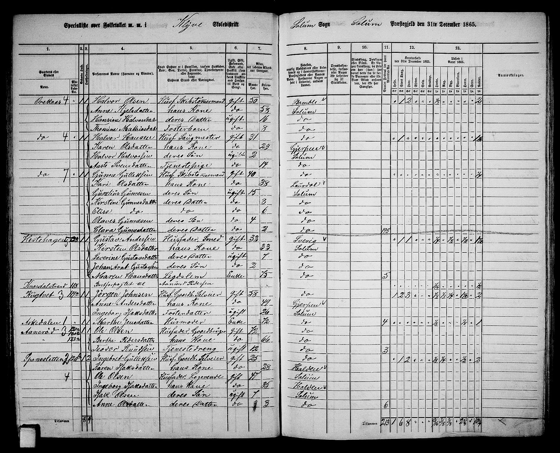 RA, 1865 census for Solum, 1865, p. 112