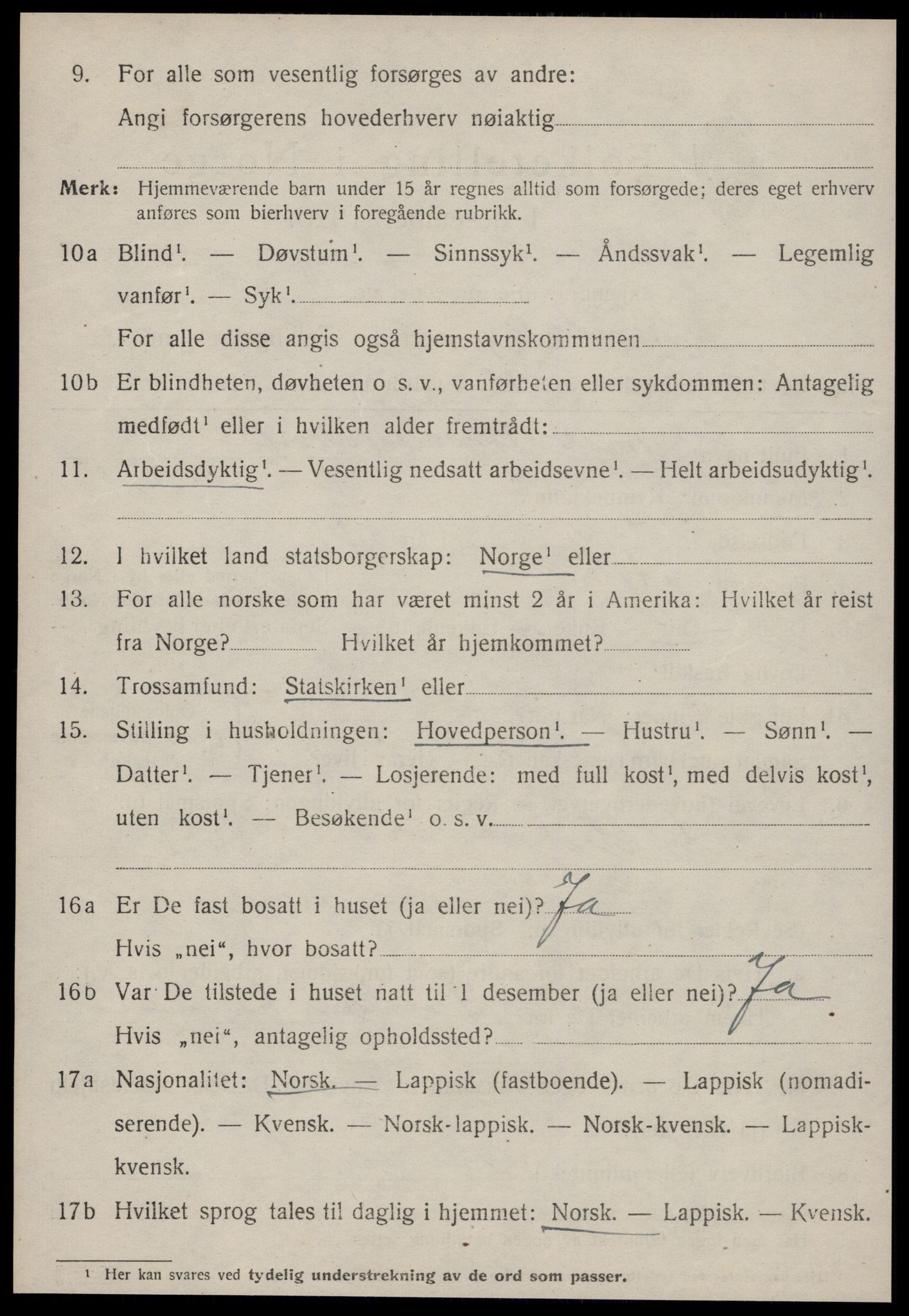 SAT, 1920 census for Strinda, 1920, p. 19463