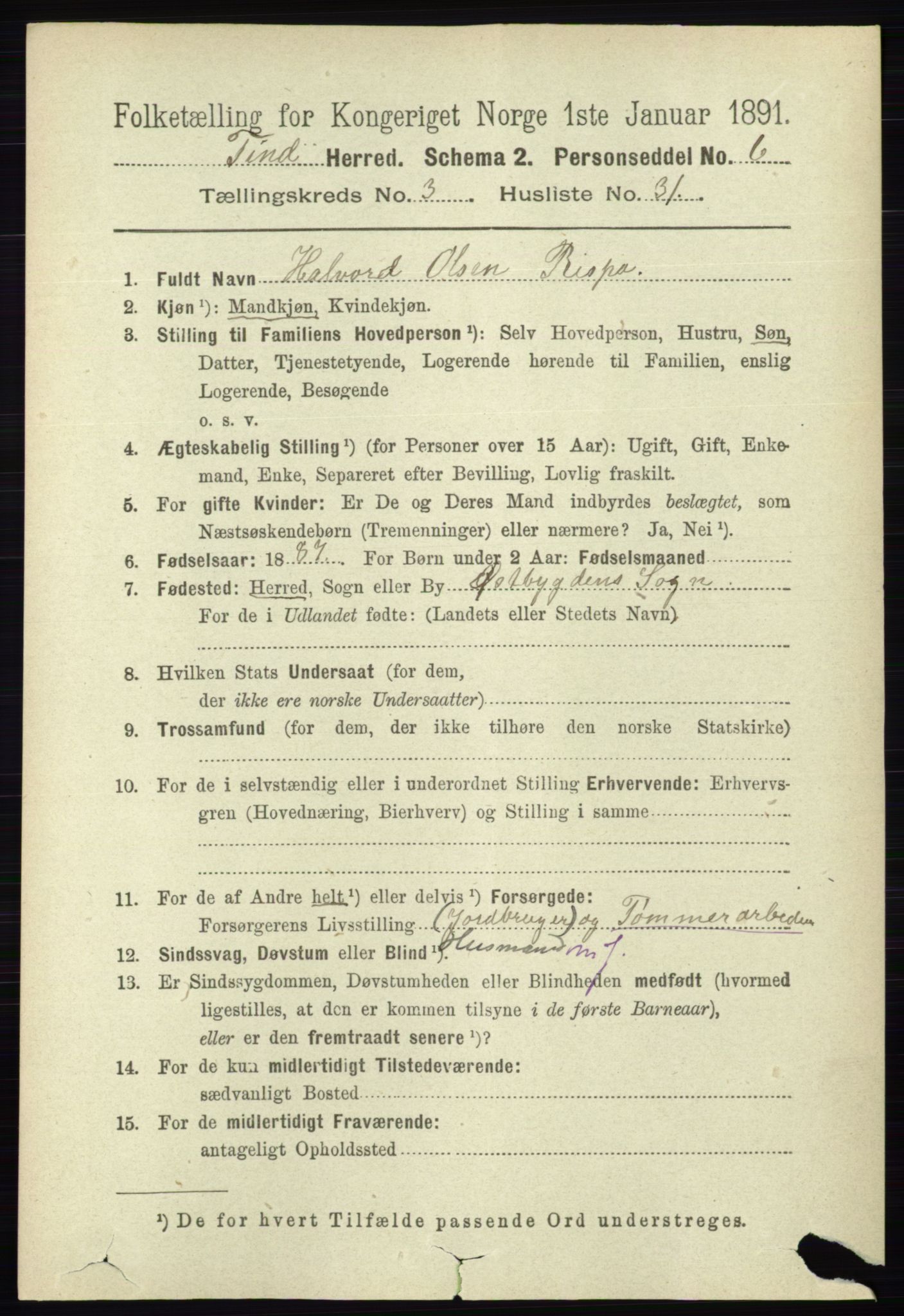 RA, 1891 census for 0826 Tinn, 1891, p. 671