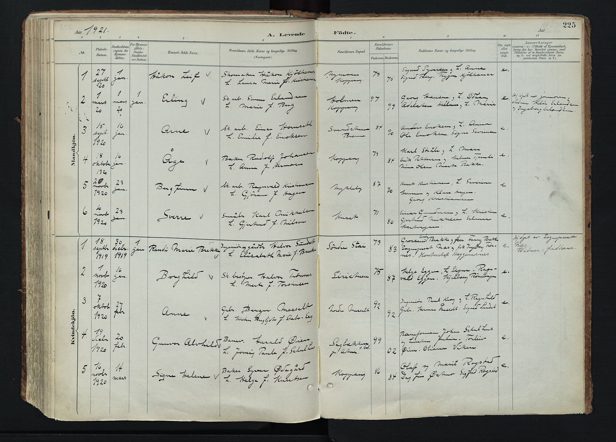 Stor-Elvdal prestekontor, AV/SAH-PREST-052/H/Ha/Haa/L0004: Parish register (official) no. 4, 1890-1922, p. 225