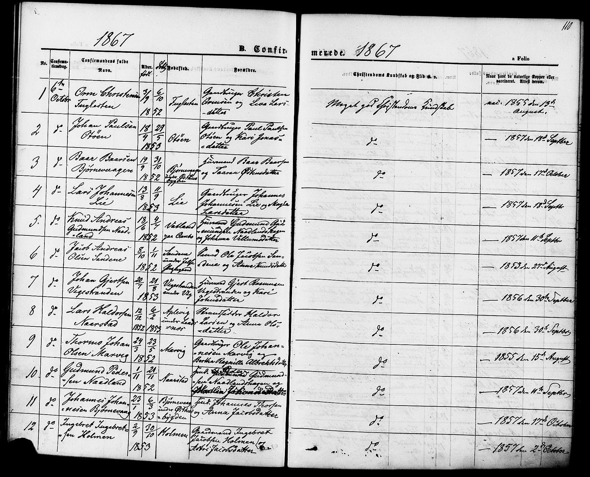 Jelsa sokneprestkontor, SAST/A-101842/01/IV: Parish register (official) no. A 8, 1867-1883, p. 110