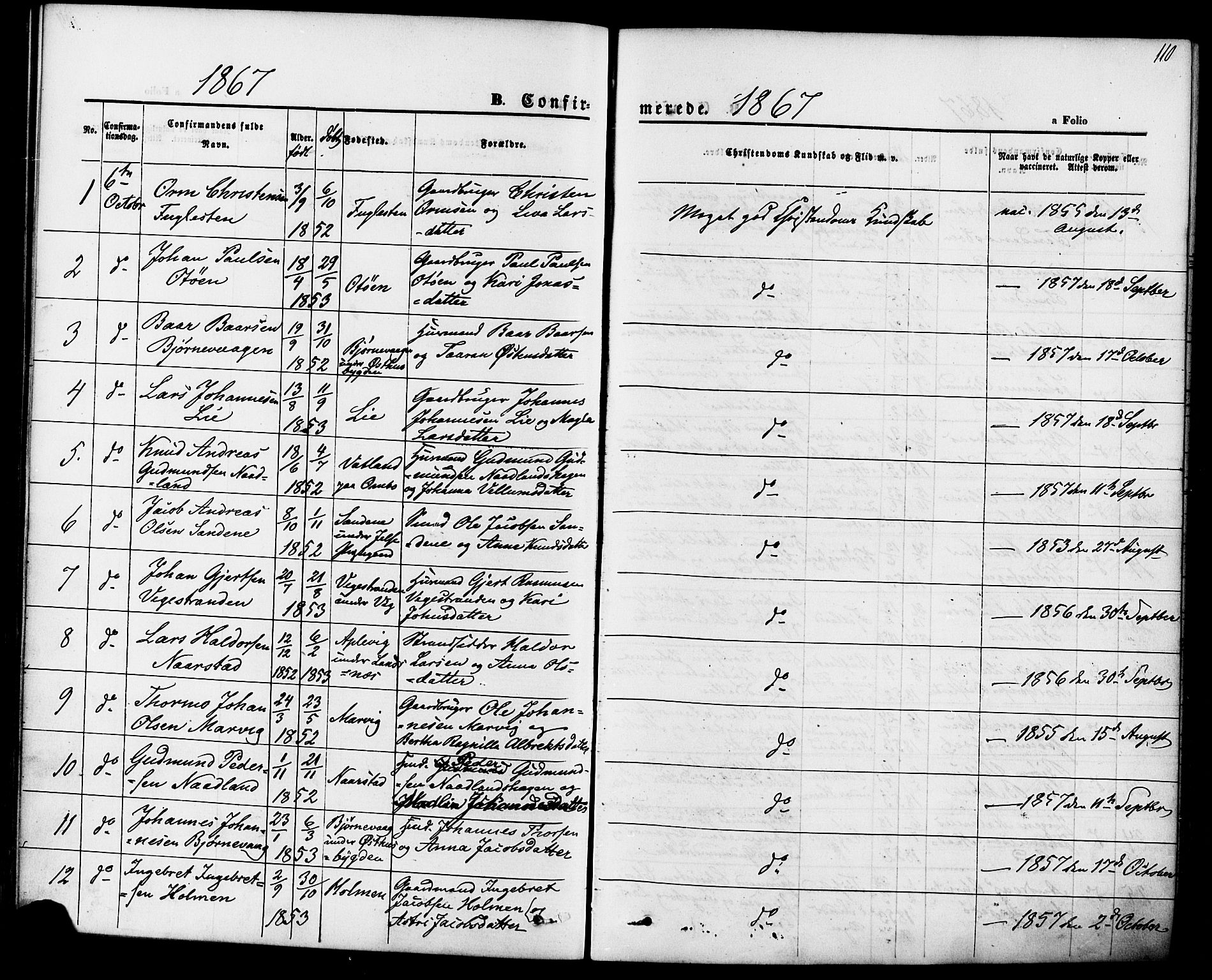 Jelsa sokneprestkontor, AV/SAST-A-101842/01/IV: Parish register (official) no. A 8, 1867-1883, p. 110