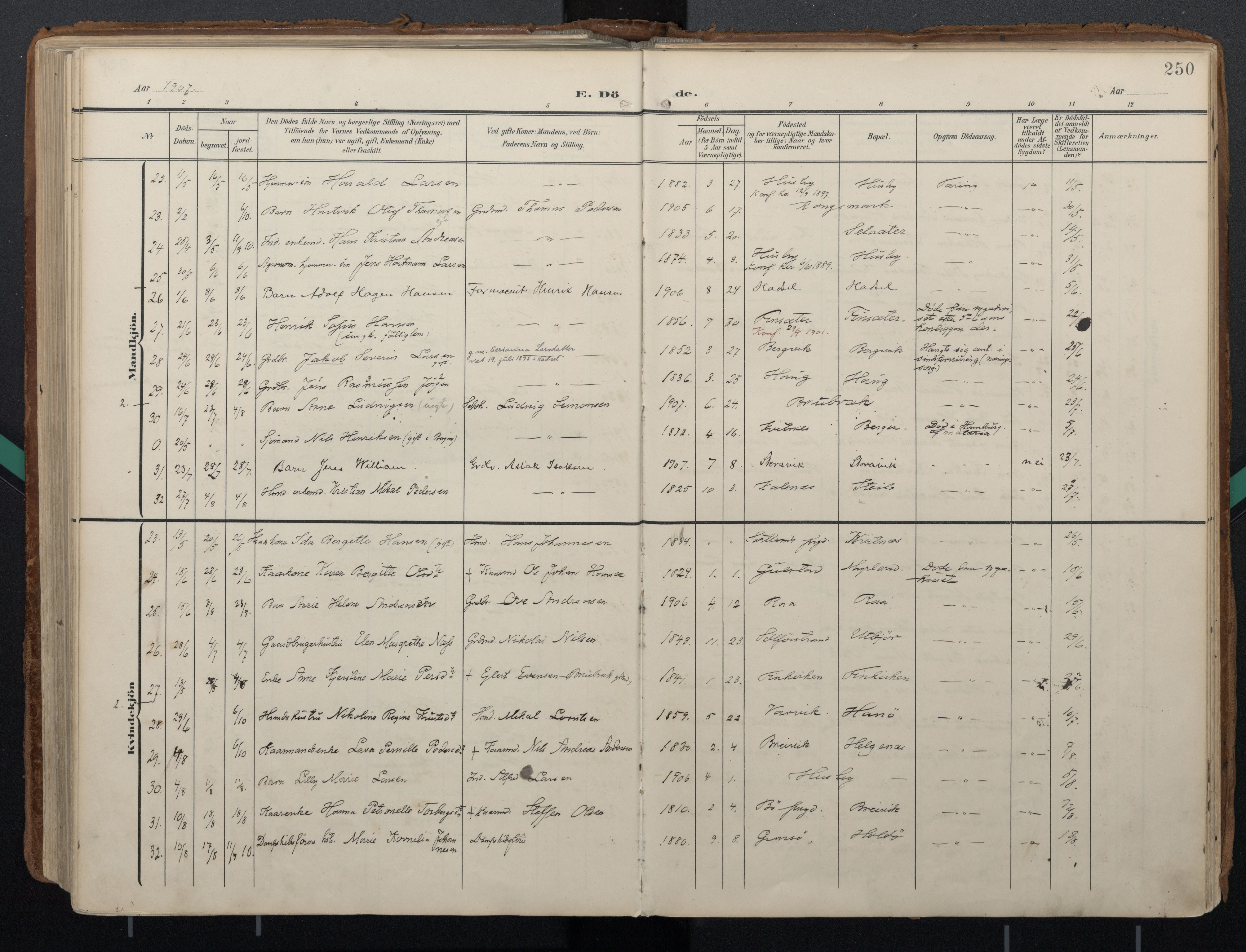 Ministerialprotokoller, klokkerbøker og fødselsregistre - Nordland, AV/SAT-A-1459/888/L1248: Parish register (official) no. 888A14, 1904-1913, p. 250