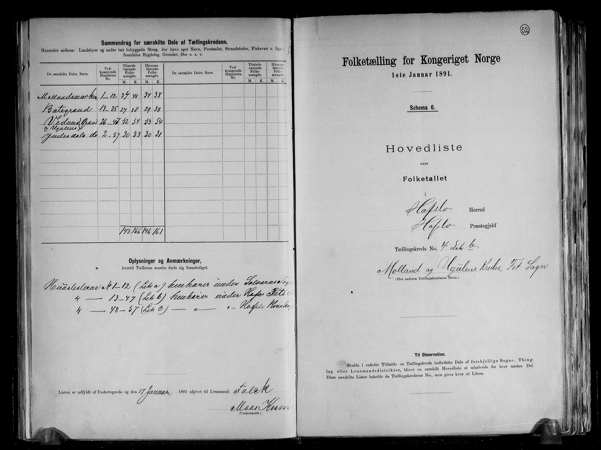 RA, 1891 census for 1425 Hafslo, 1891, p. 14