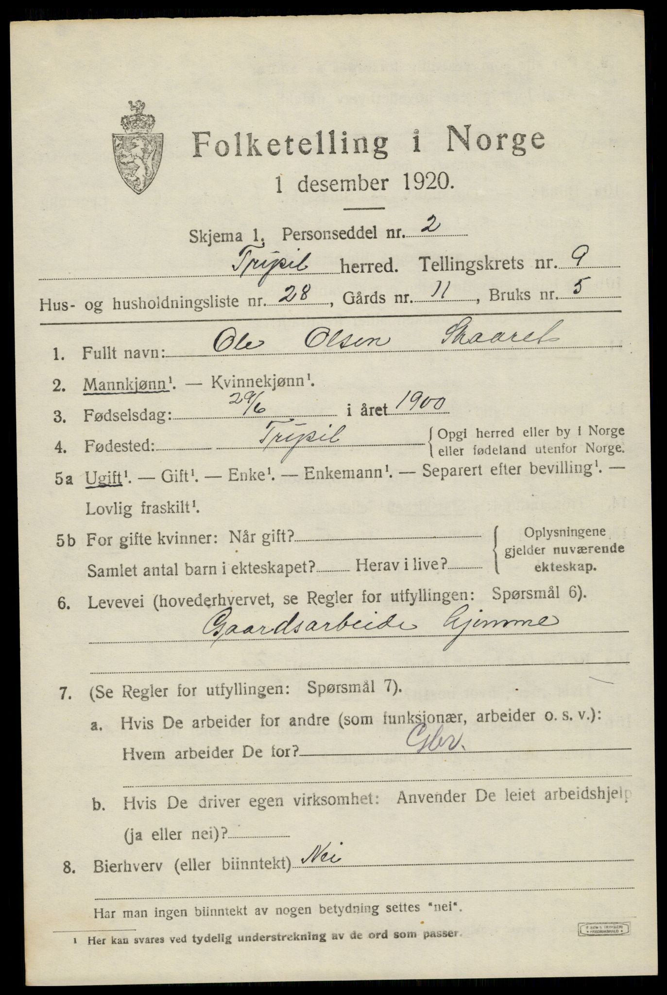 SAH, 1920 census for Trysil, 1920, p. 6859