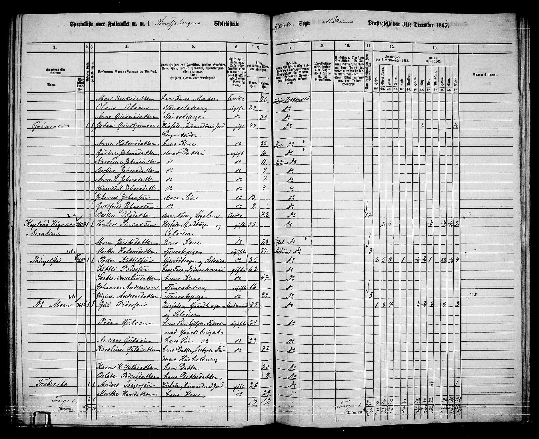 RA, 1865 census for Modum, 1865, p. 257