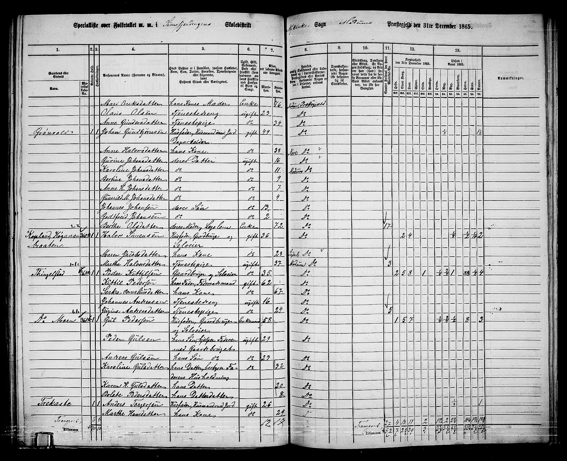 RA, 1865 census for Modum, 1865, p. 257