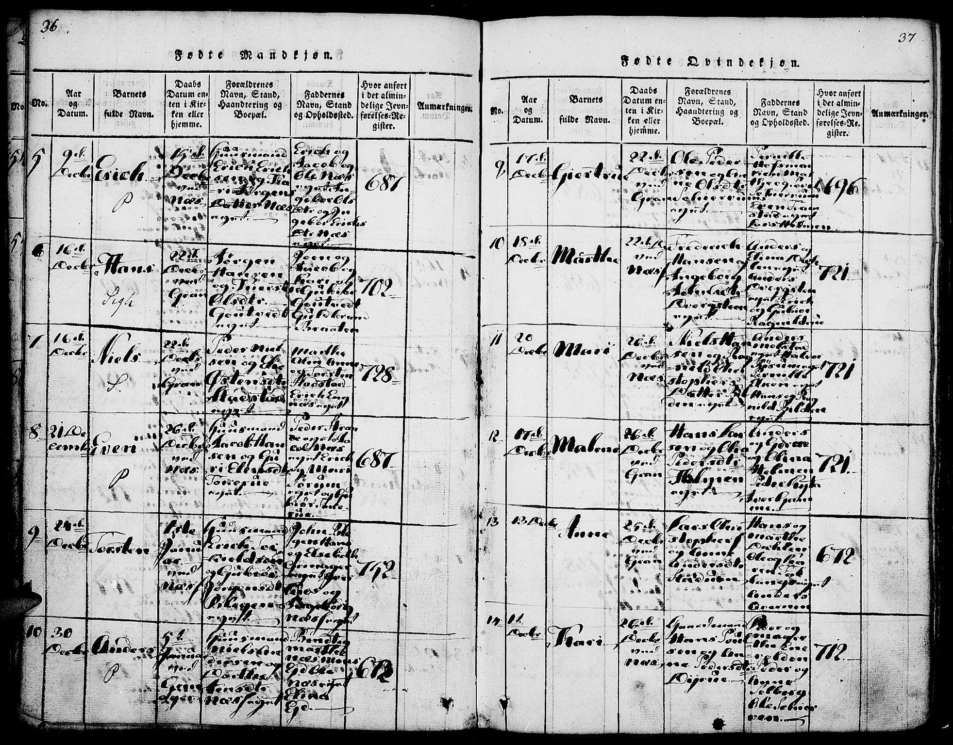 Gran prestekontor, AV/SAH-PREST-112/H/Ha/Haa/L0009: Parish register (official) no. 9, 1815-1824, p. 36-37