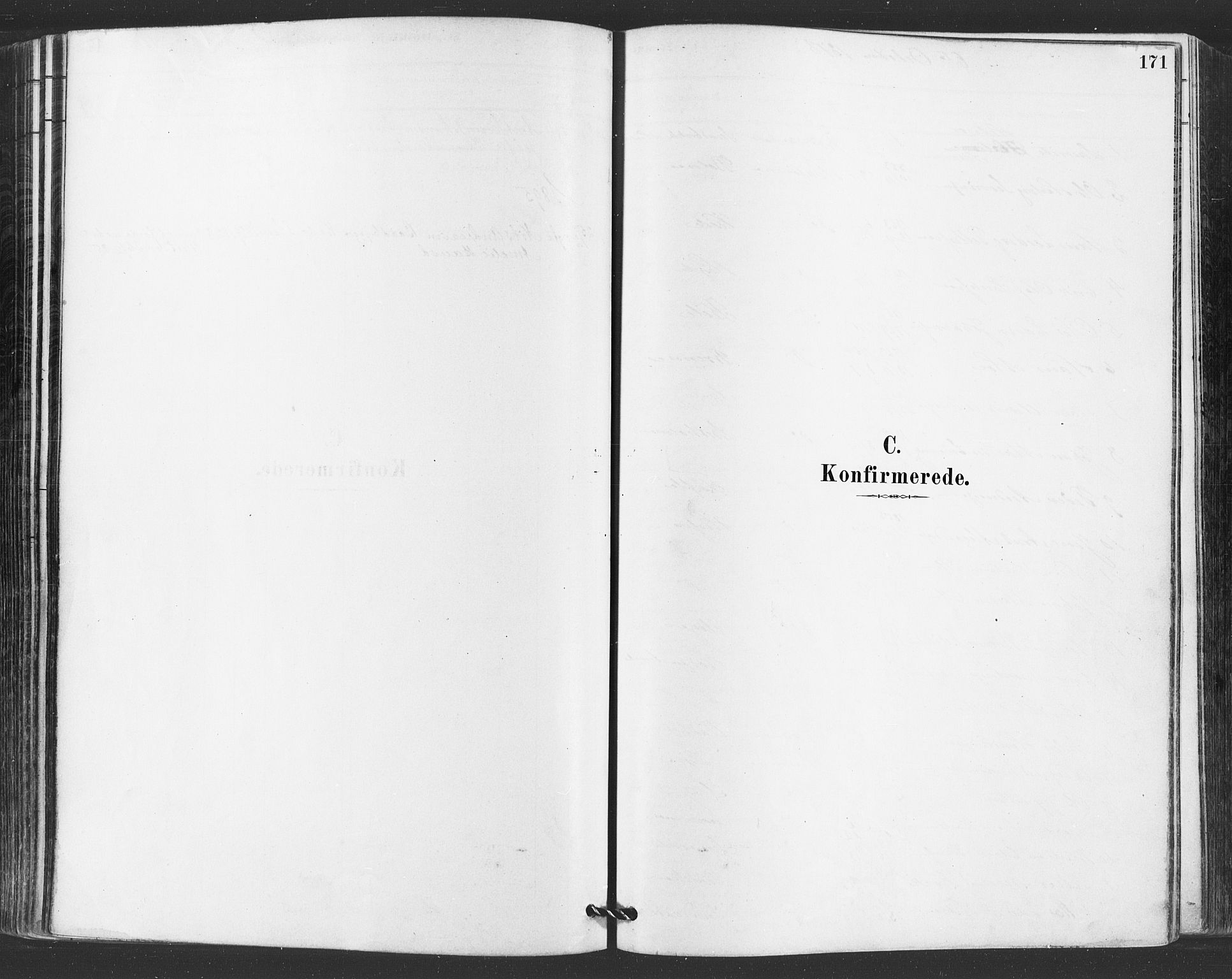 Hvaler prestekontor Kirkebøker, SAO/A-2001/F/Fa/L0008: Parish register (official) no. I 8, 1878-1895, p. 171