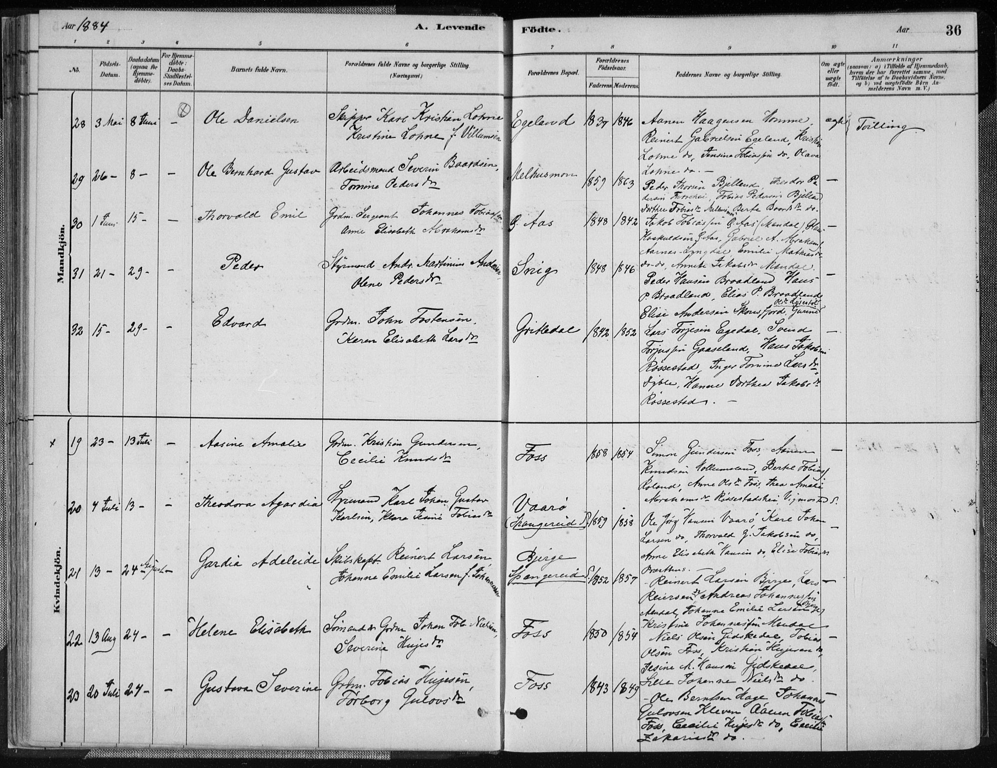 Sør-Audnedal sokneprestkontor, AV/SAK-1111-0039/F/Fa/Fab/L0009: Parish register (official) no. A 9, 1880-1895, p. 36