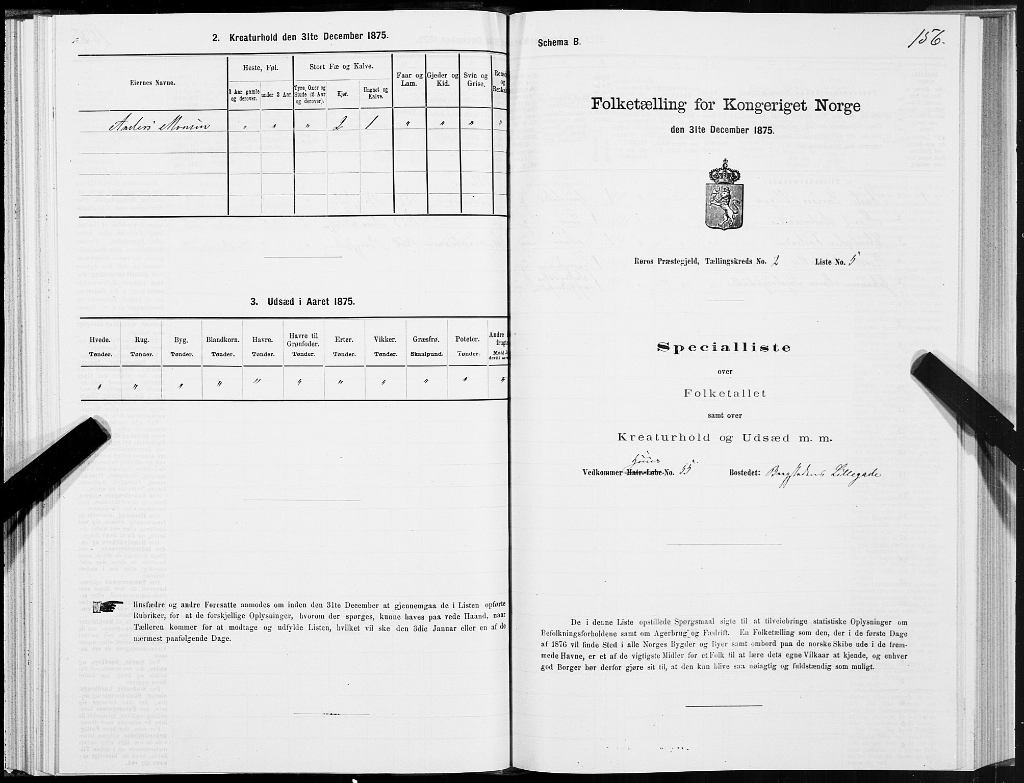 SAT, 1875 census for 1640P Røros, 1875, p. 1156