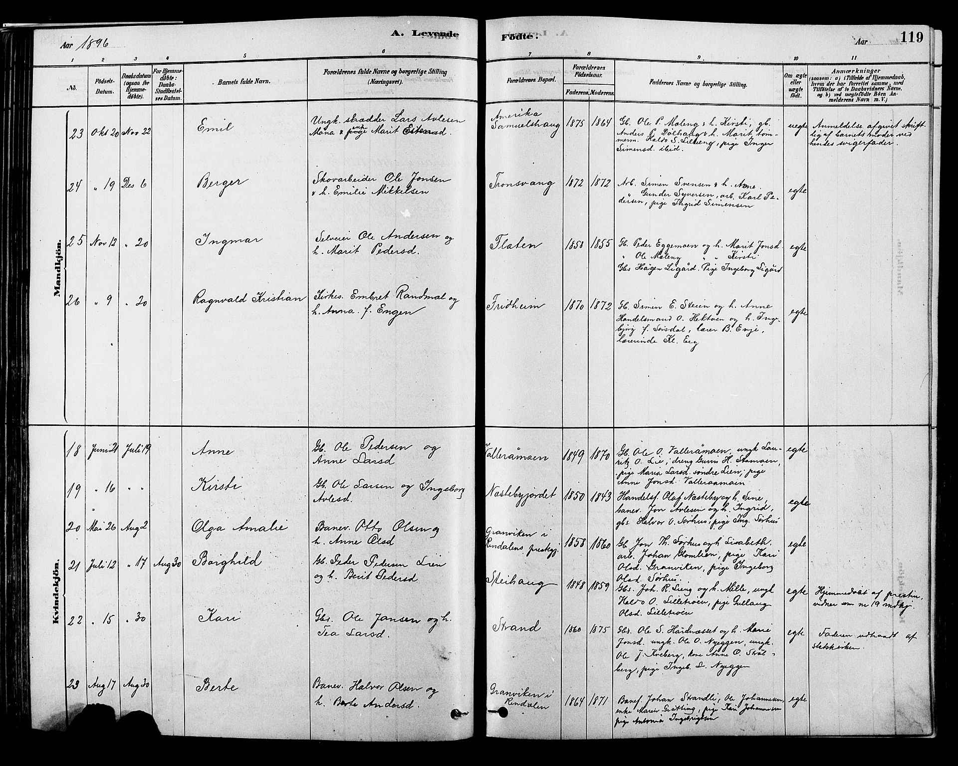 Alvdal prestekontor, SAH/PREST-060/H/Ha/Hab/L0003: Parish register (copy) no. 3, 1878-1907, p. 119