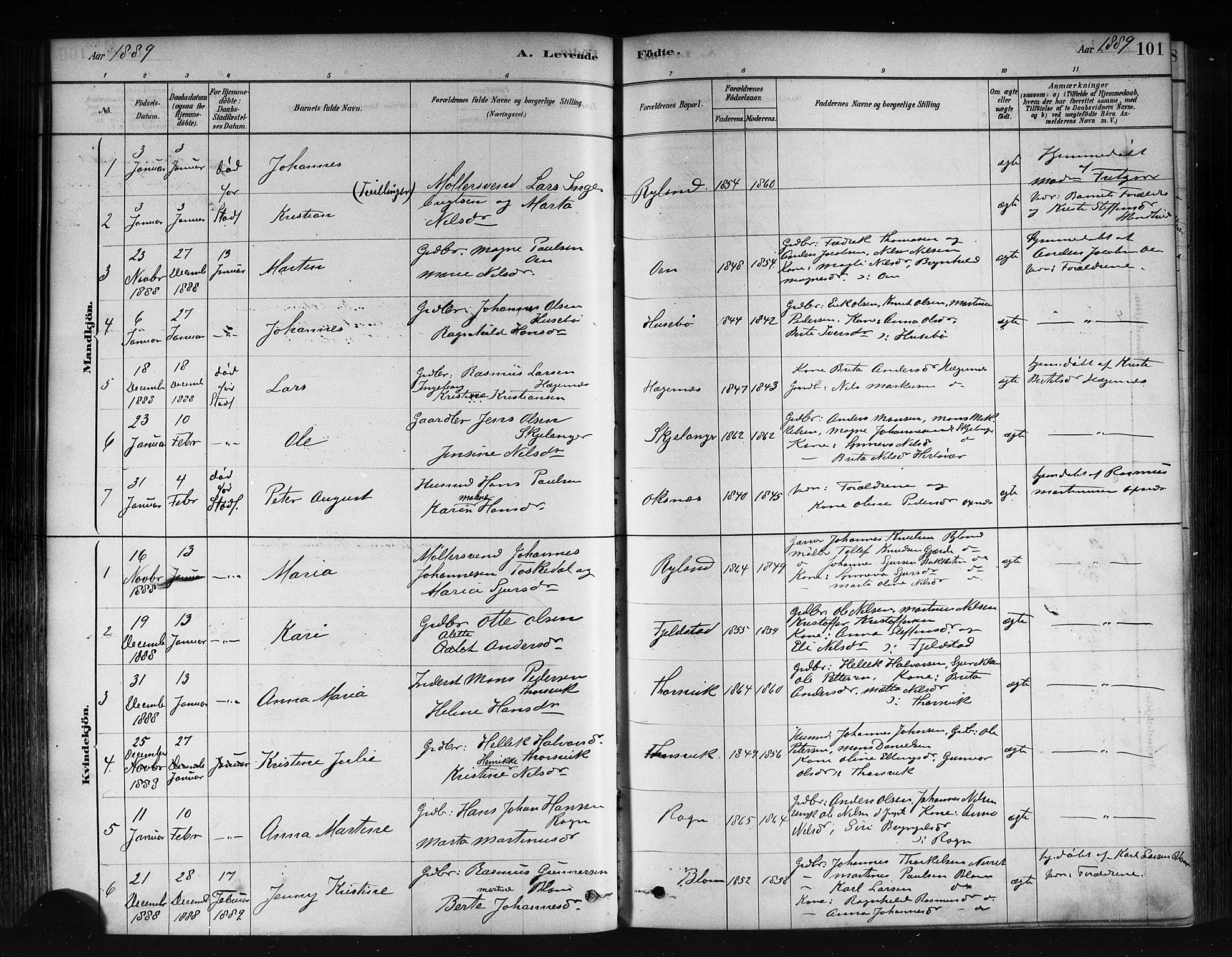 Herdla Sokneprestembete, SAB/A-75701/H/Haa: Parish register (official) no. A 3, 1878-1890, p. 101