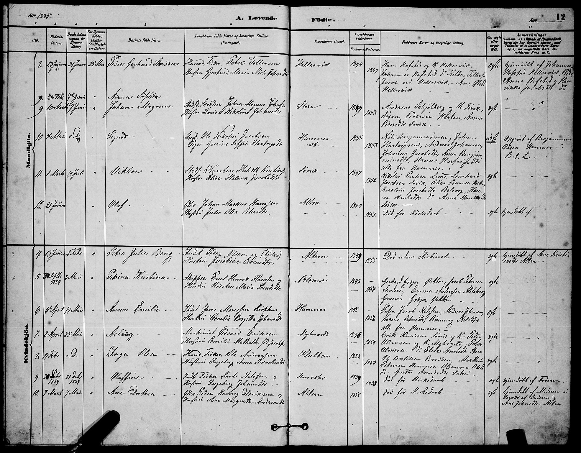 Ministerialprotokoller, klokkerbøker og fødselsregistre - Nordland, SAT/A-1459/830/L0462: Parish register (copy) no. 830C04, 1882-1895, p. 12