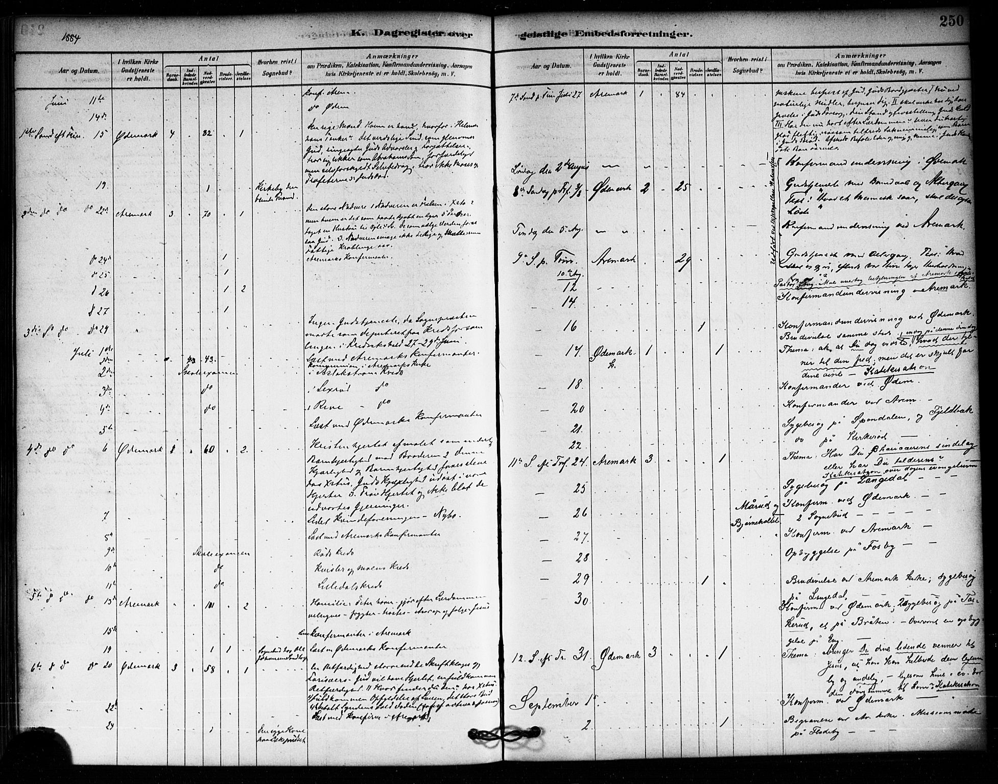 Aremark prestekontor Kirkebøker, AV/SAO-A-10899/F/Fa/L0005: Parish register (official) no. I 5, 1878-1897, p. 250