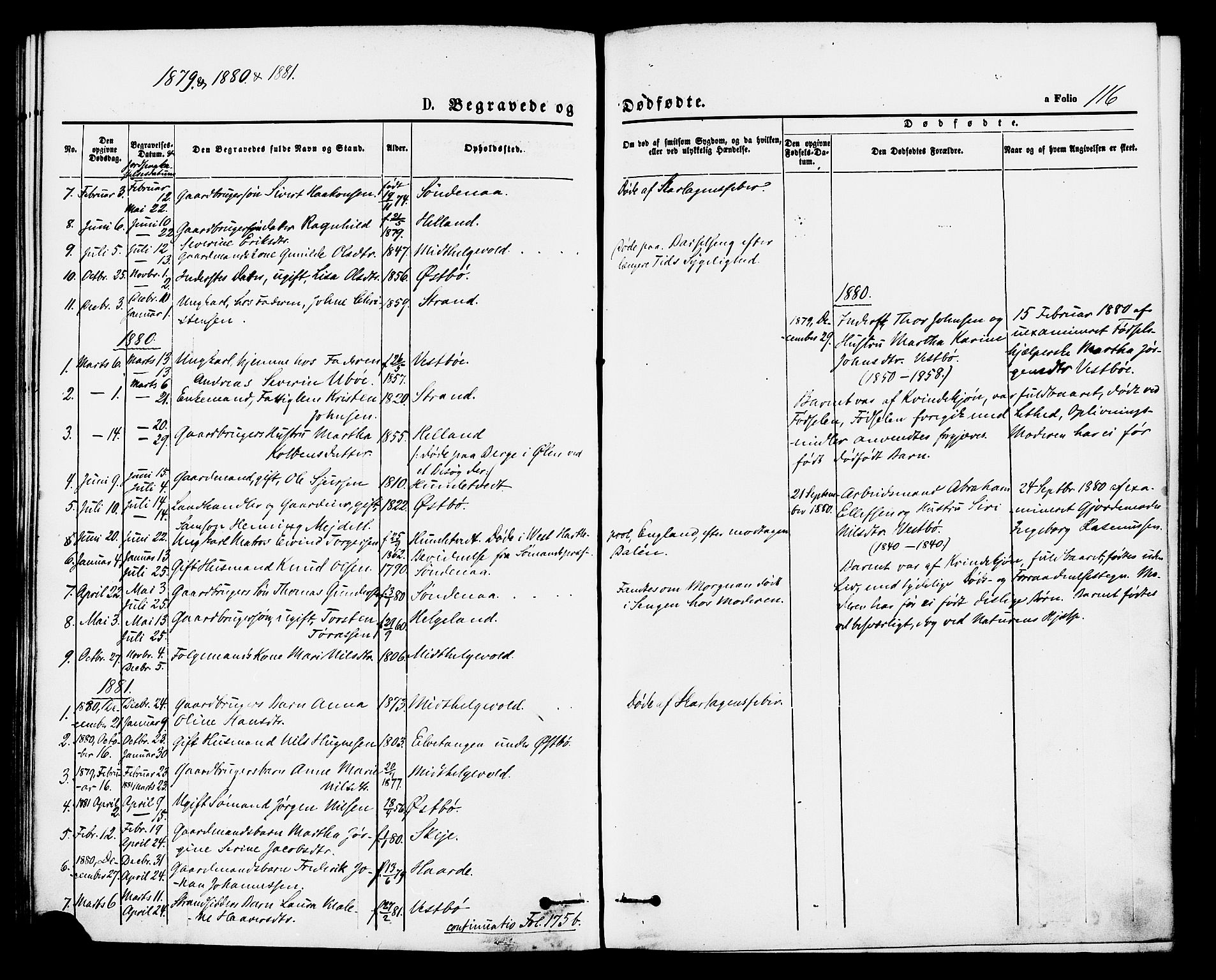 Vikedal sokneprestkontor, AV/SAST-A-101840/01/IV: Parish register (official) no. A 8, 1868-1885, p. 116