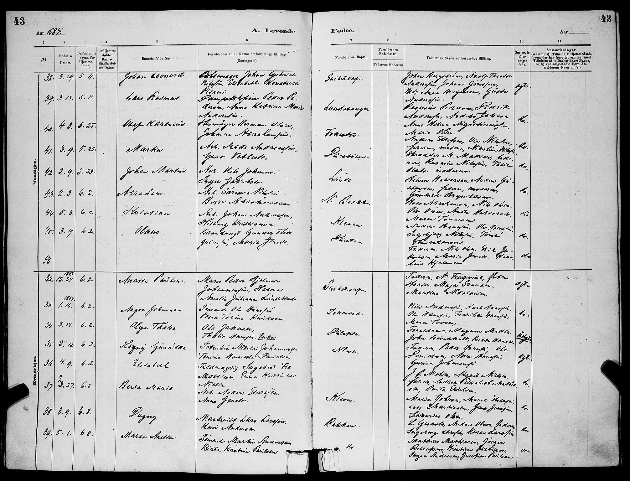 Skien kirkebøker, AV/SAKO-A-302/G/Ga/L0006: Parish register (copy) no. 6, 1881-1890, p. 43
