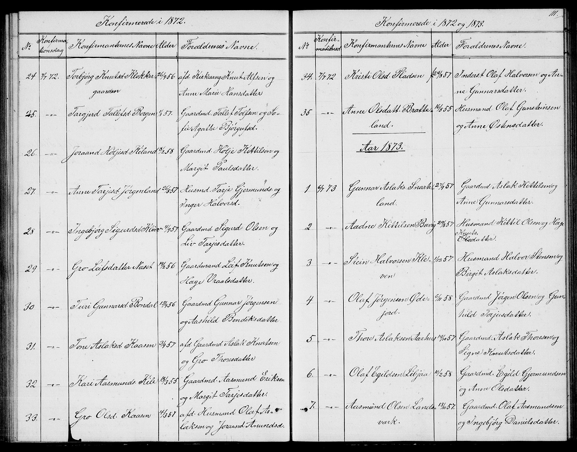 Fyresdal kirkebøker, SAKO/A-263/G/Ga/L0004: Parish register (copy) no. I 4, 1864-1892, p. 111