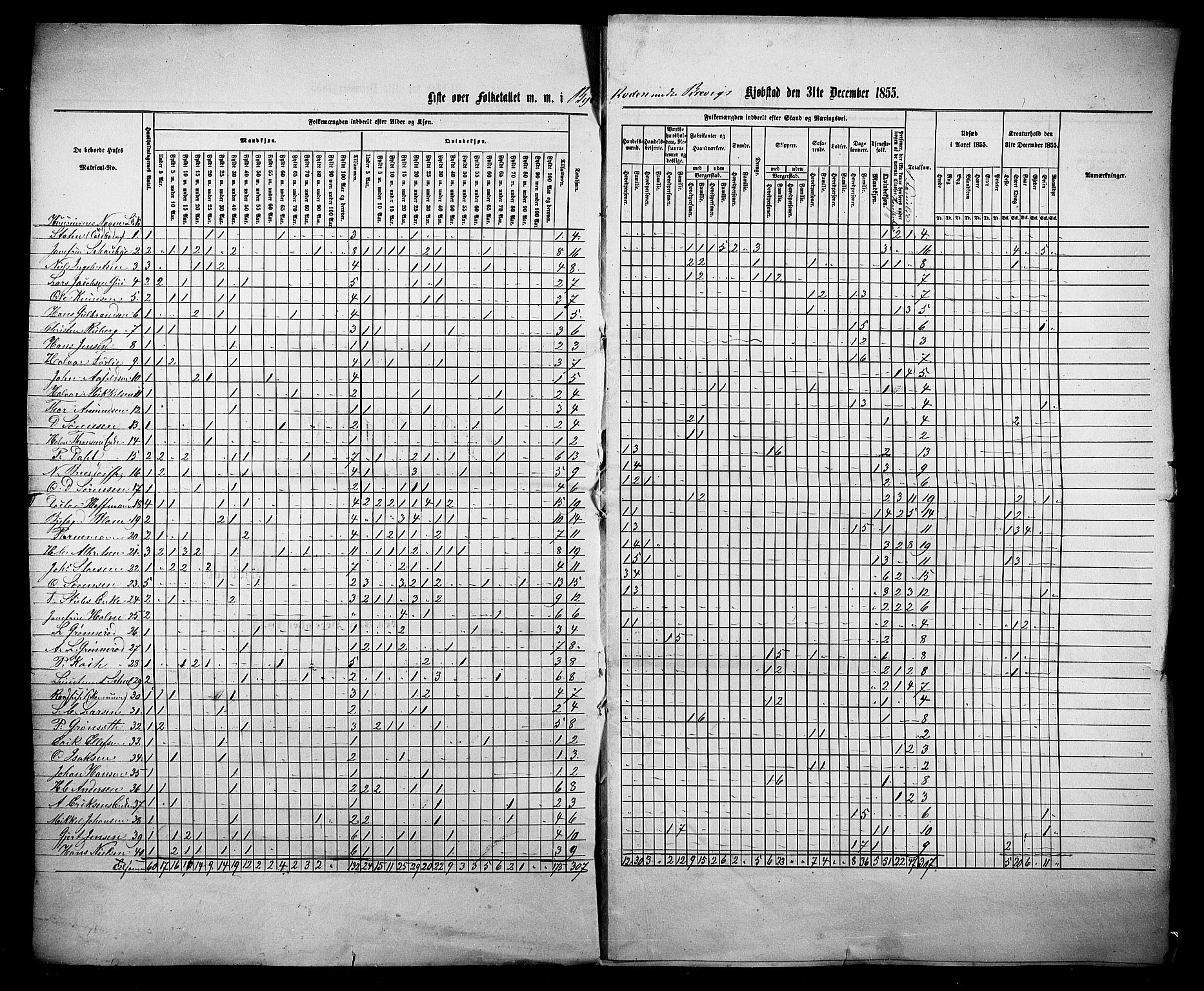 , Census 1855 for Eidanger/Brevik, 1855, p. 2