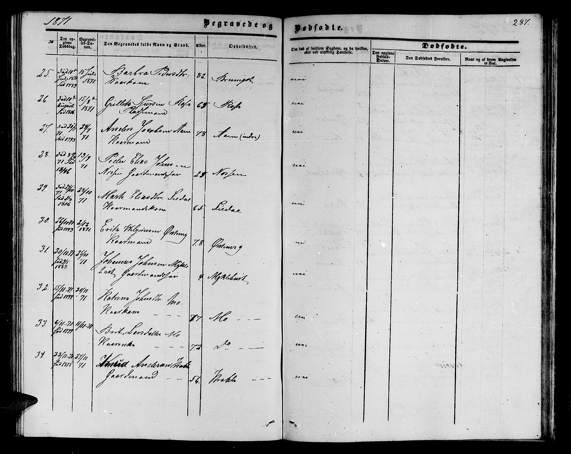 Ministerialprotokoller, klokkerbøker og fødselsregistre - Møre og Romsdal, AV/SAT-A-1454/513/L0188: Parish register (copy) no. 513C02, 1865-1882, p. 287