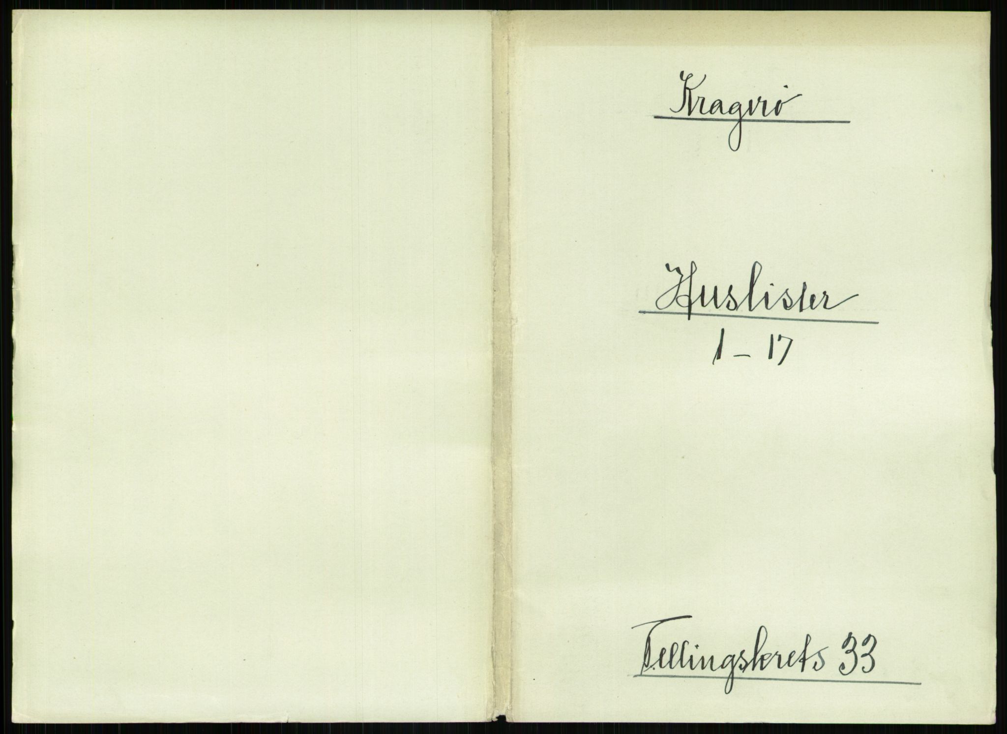 RA, 1891 census for 0801 Kragerø, 1891, p. 1196