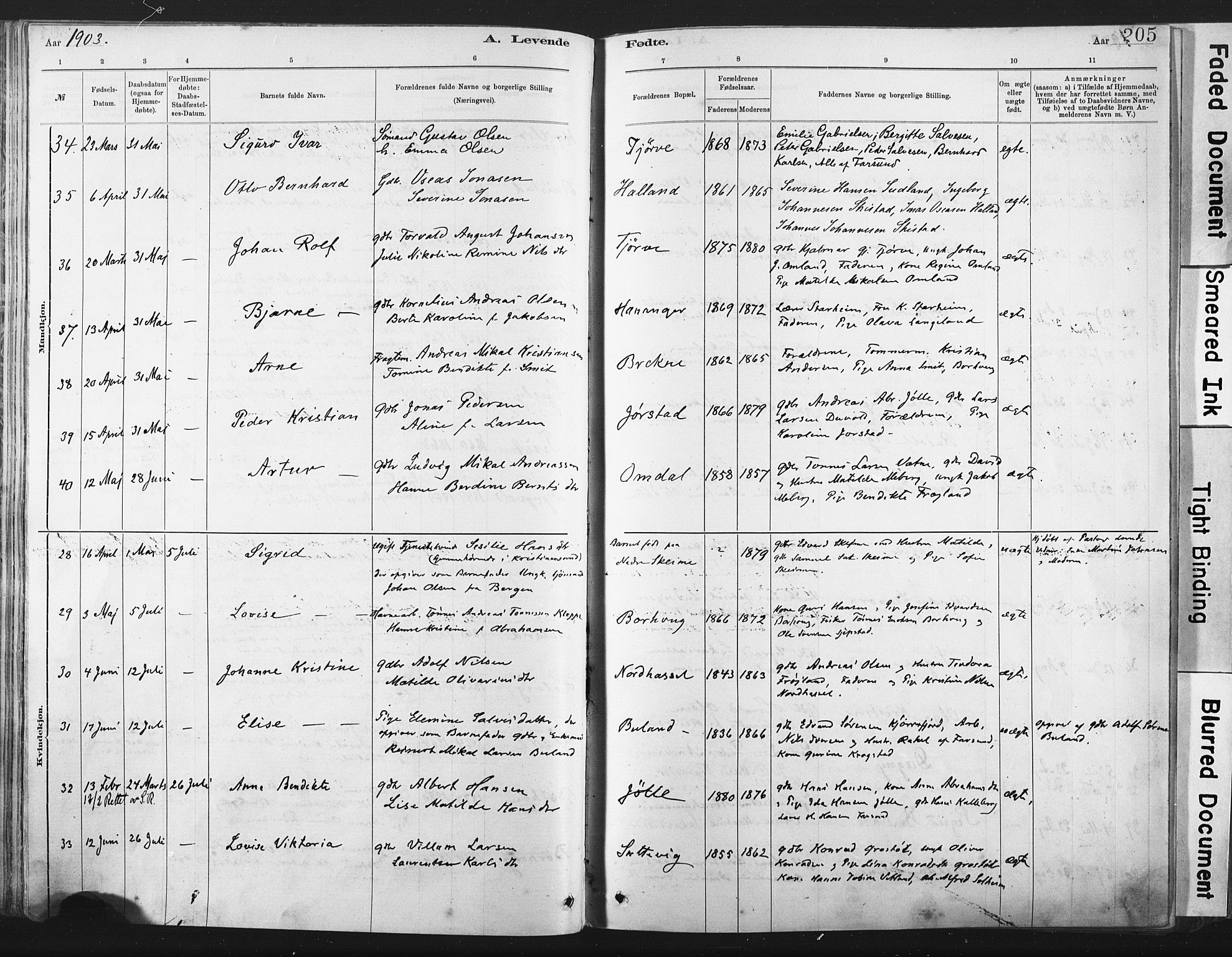 Lista sokneprestkontor, AV/SAK-1111-0027/F/Fa/L0012: Parish register (official) no. A 12, 1879-1903, p. 205