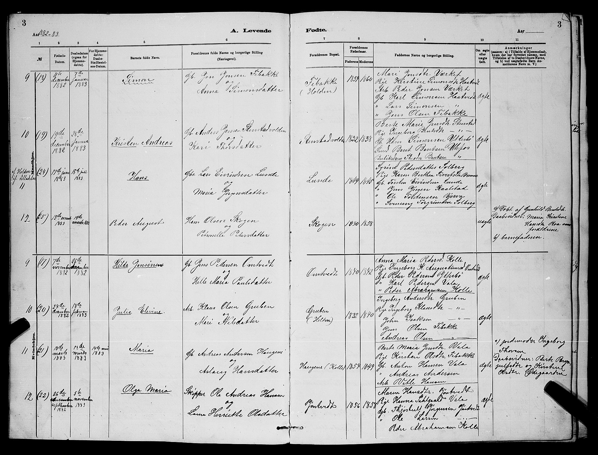 Holla kirkebøker, SAKO/A-272/G/Gb/L0001: Parish register (copy) no. II 1, 1882-1897, p. 3