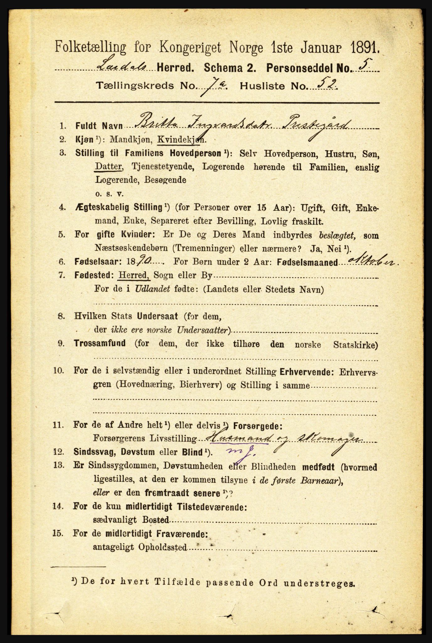 RA, 1891 census for 1422 Lærdal, 1891, p. 1099