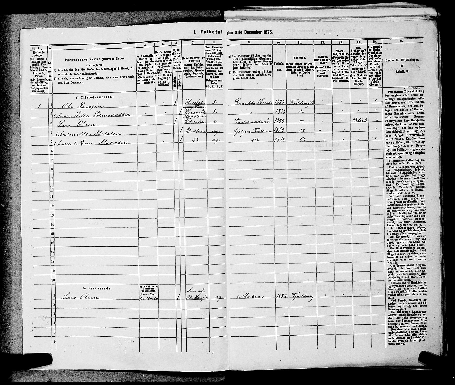 SAKO, 1875 census for 0725P Tjølling, 1875, p. 718