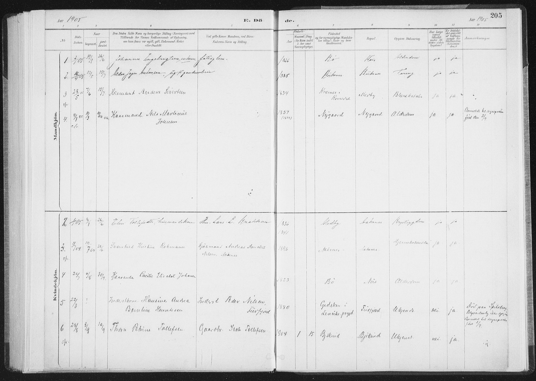 Ministerialprotokoller, klokkerbøker og fødselsregistre - Nordland, AV/SAT-A-1459/898/L1422: Parish register (official) no. 898A02, 1887-1908, p. 205