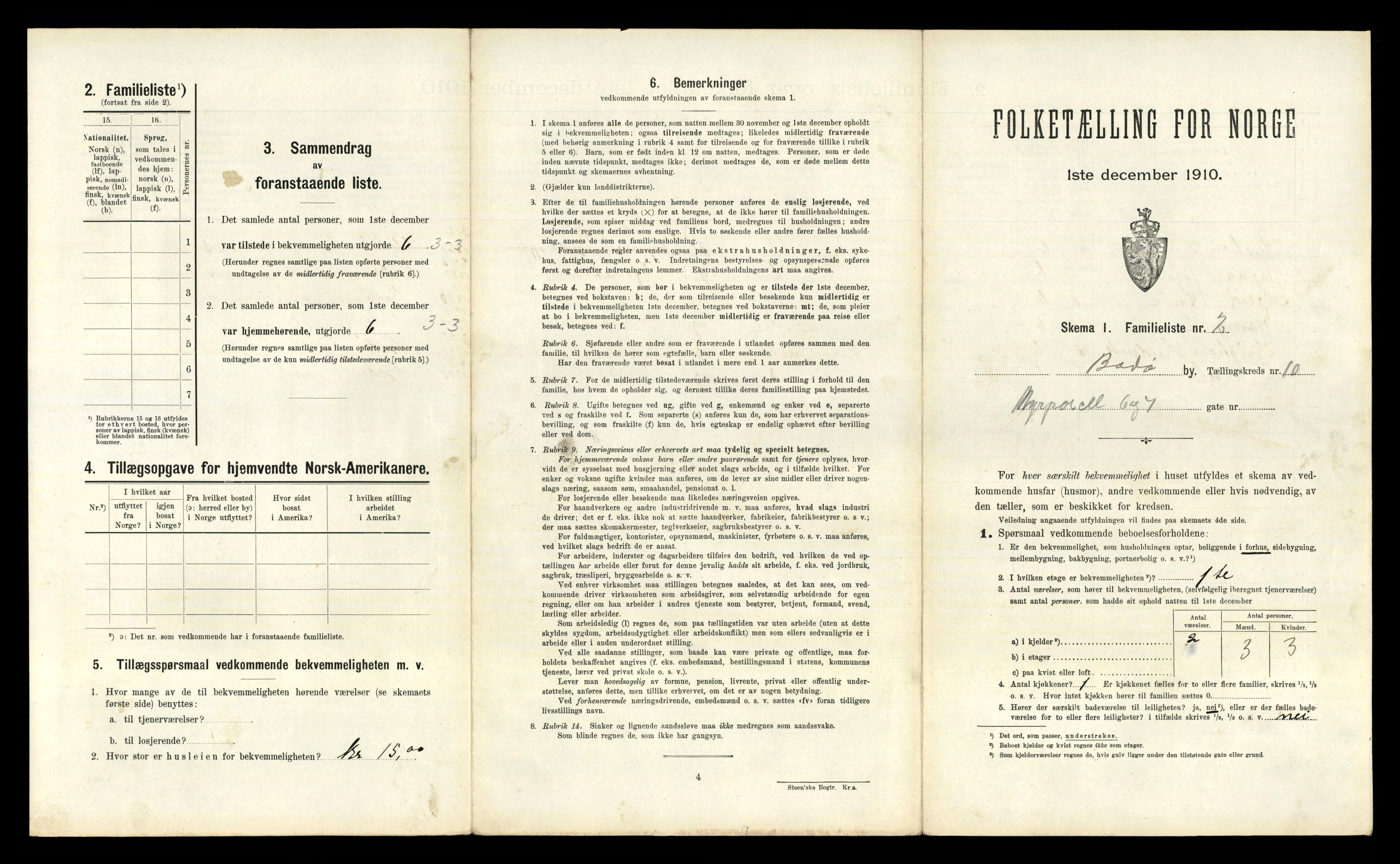 RA, 1910 census for Bodø, 1910, p. 2877