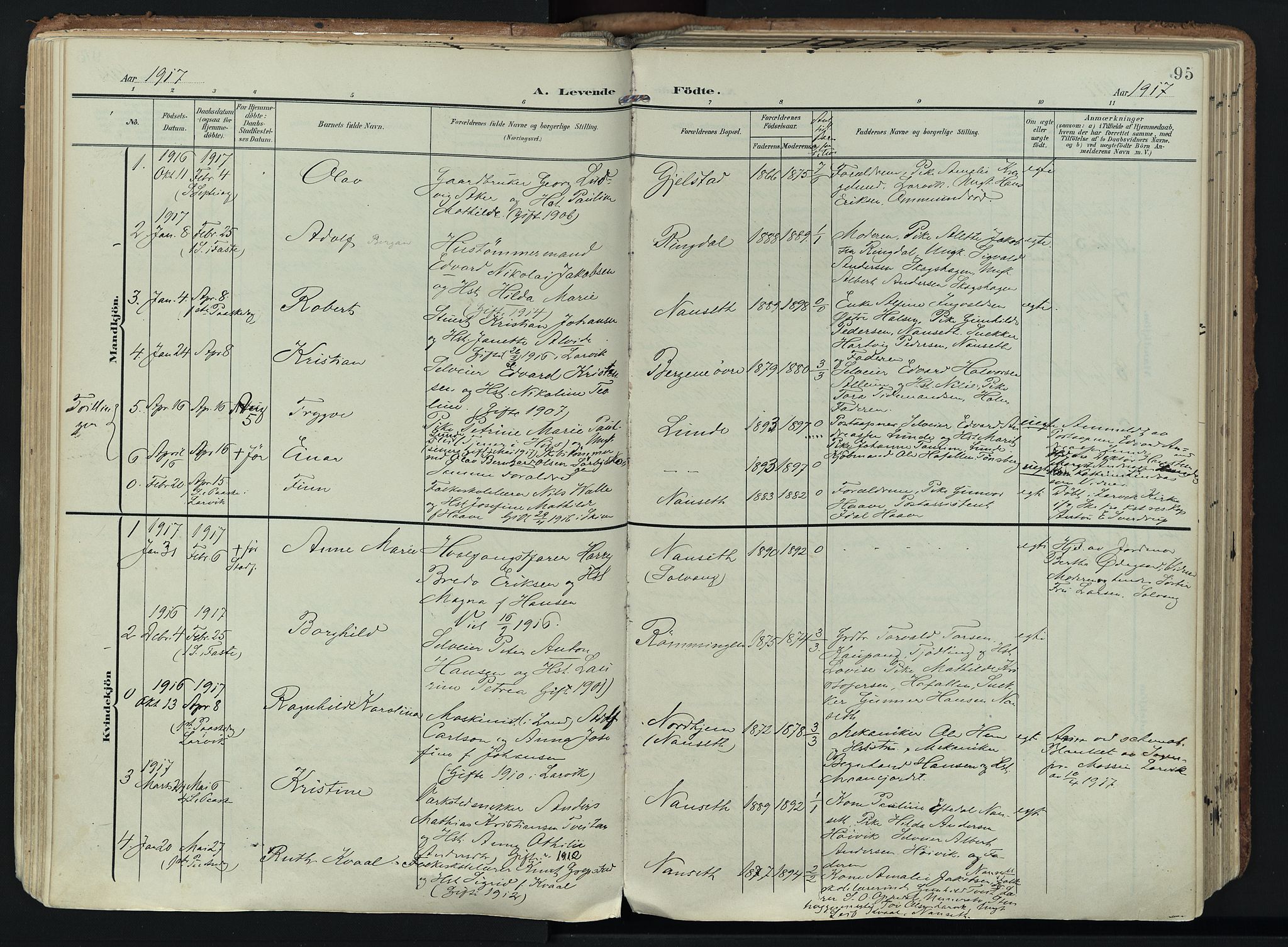 Hedrum kirkebøker, SAKO/A-344/F/Fa/L0010: Parish register (official) no. I 10, 1904-1918, p. 95