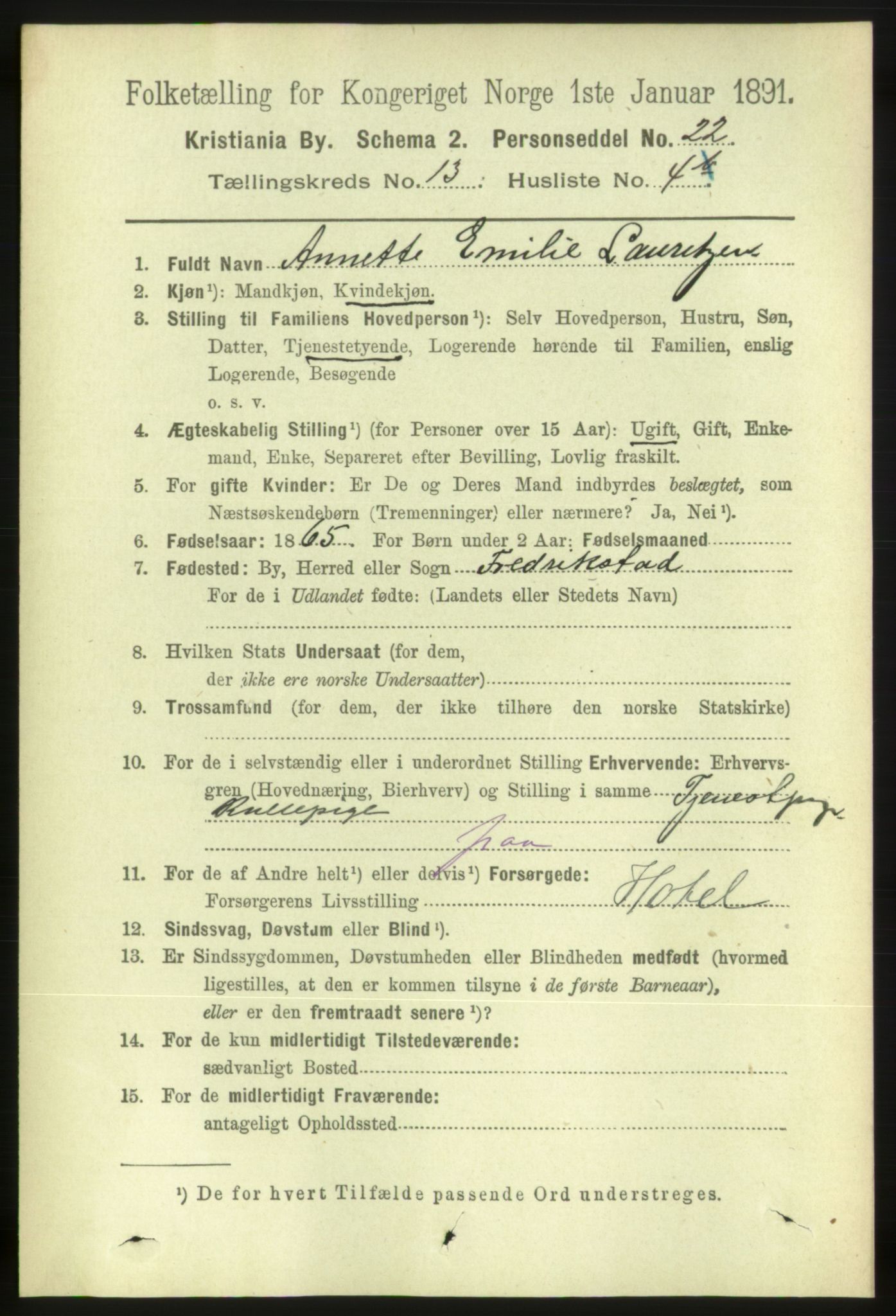 RA, 1891 census for 0301 Kristiania, 1891, p. 6058